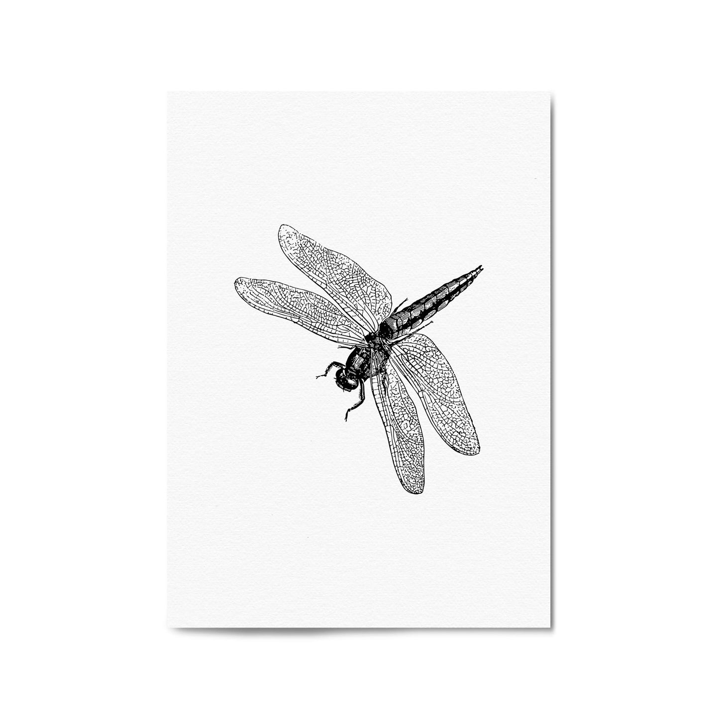 Dragonfly Drawing Insect Minimal Artwork Wall Art #2 - The Affordable Art Company