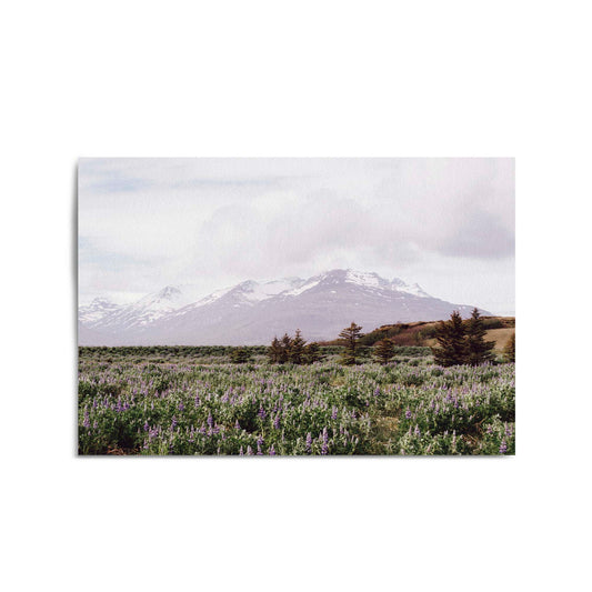 Calm Winter Landscape Photograph Wall Art - The Affordable Art Company