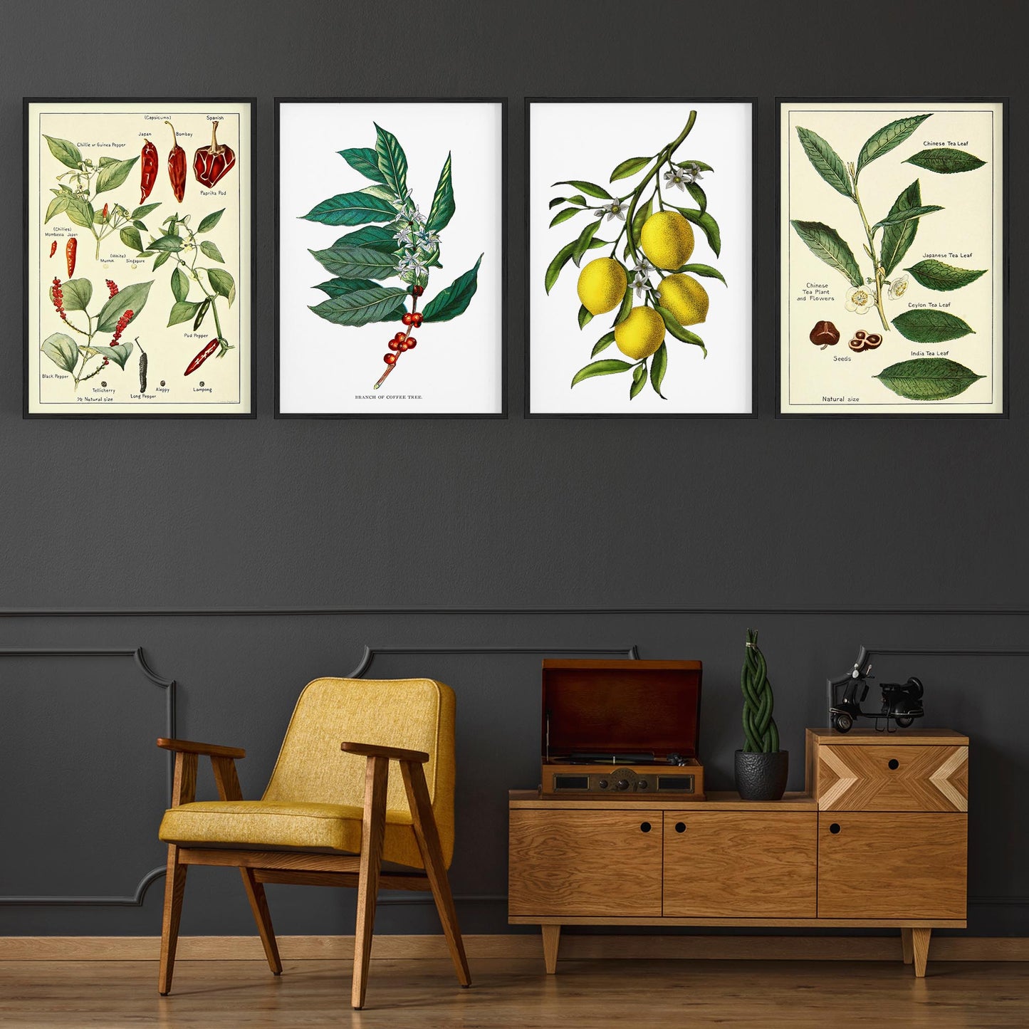 Set of 4 Vintage Botanical Kitchen Food Drawing Wall Art - The Affordable Art Company