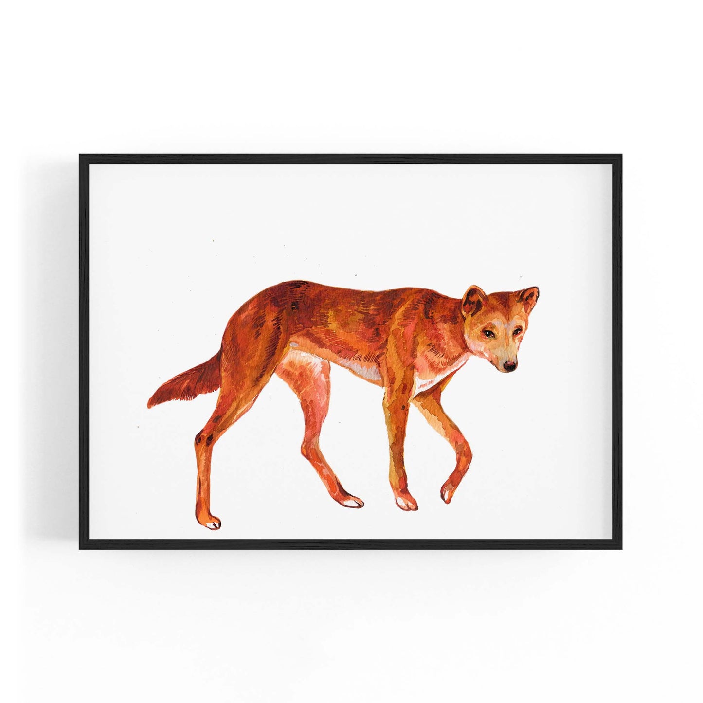 Australian Dingo Painting Animal Nursery Wall Art - The Affordable Art Company