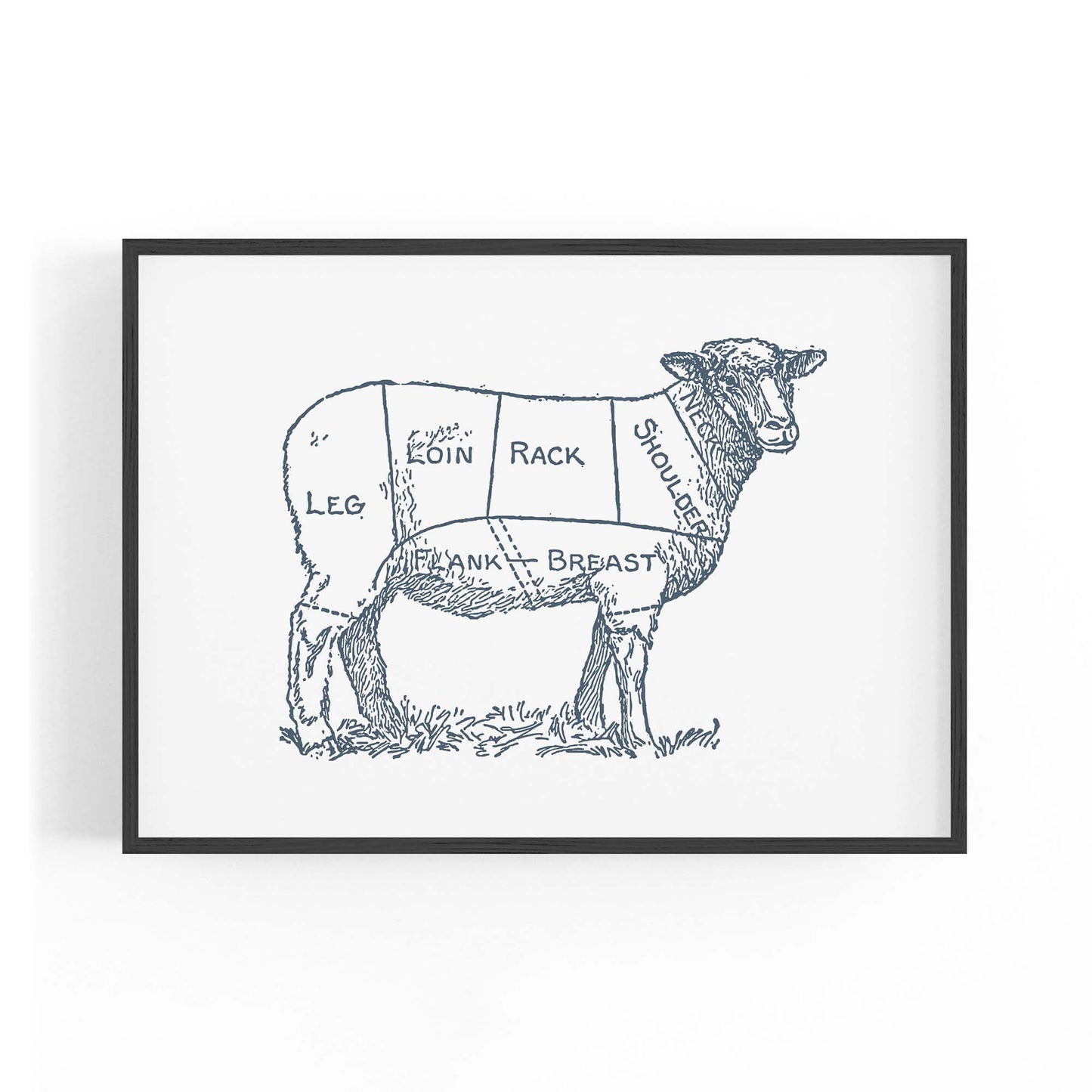 Butcher Shop Lamb Drawing Meat Wall Art - The Affordable Art Company