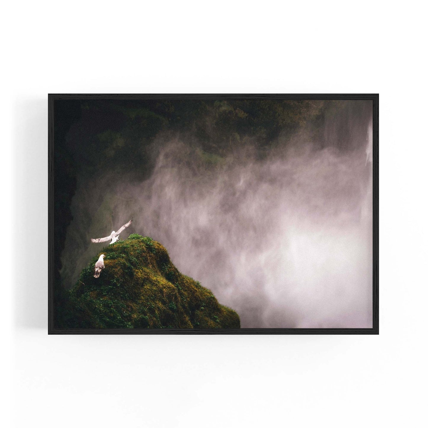 Wild Birds and Waterfall Photograph Wall Art - The Affordable Art Company