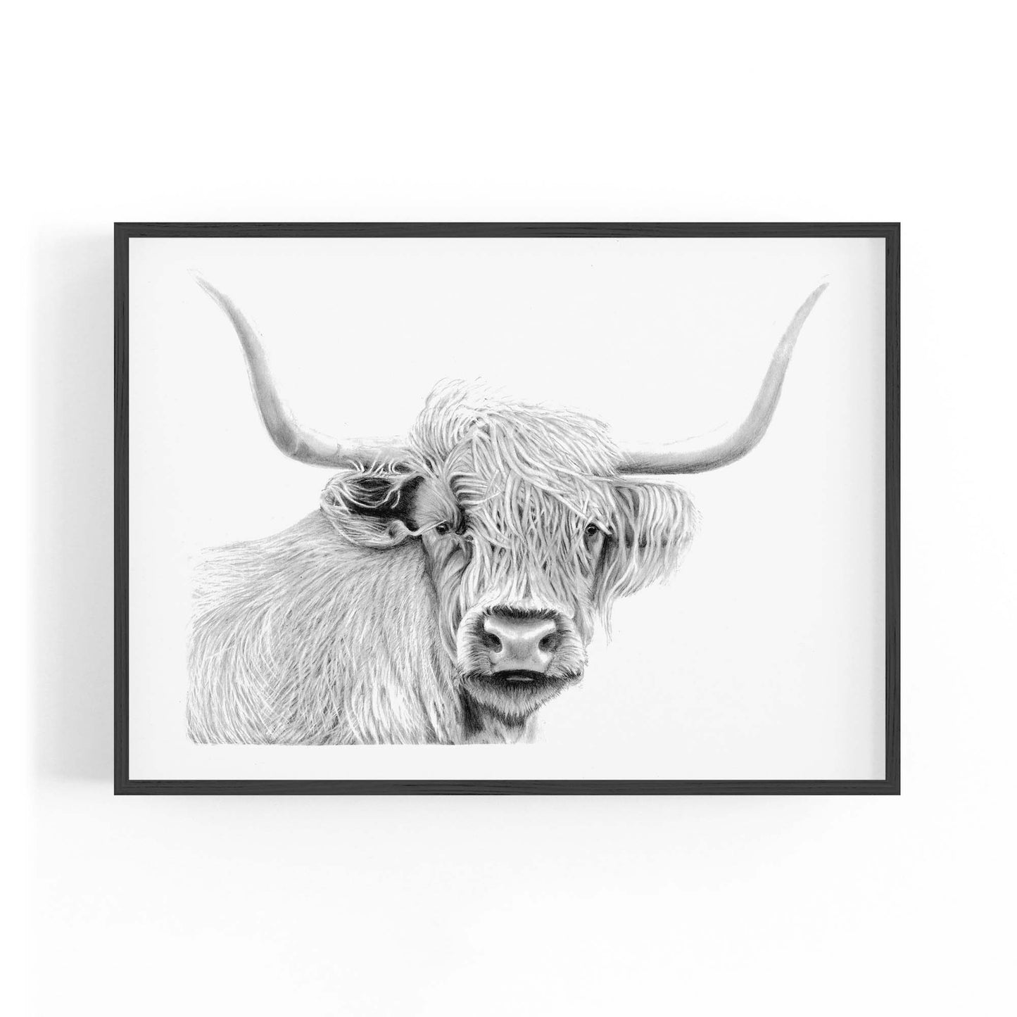 Highland Cow Detailed Drawing Minimal Wall Art - The Affordable Art Company