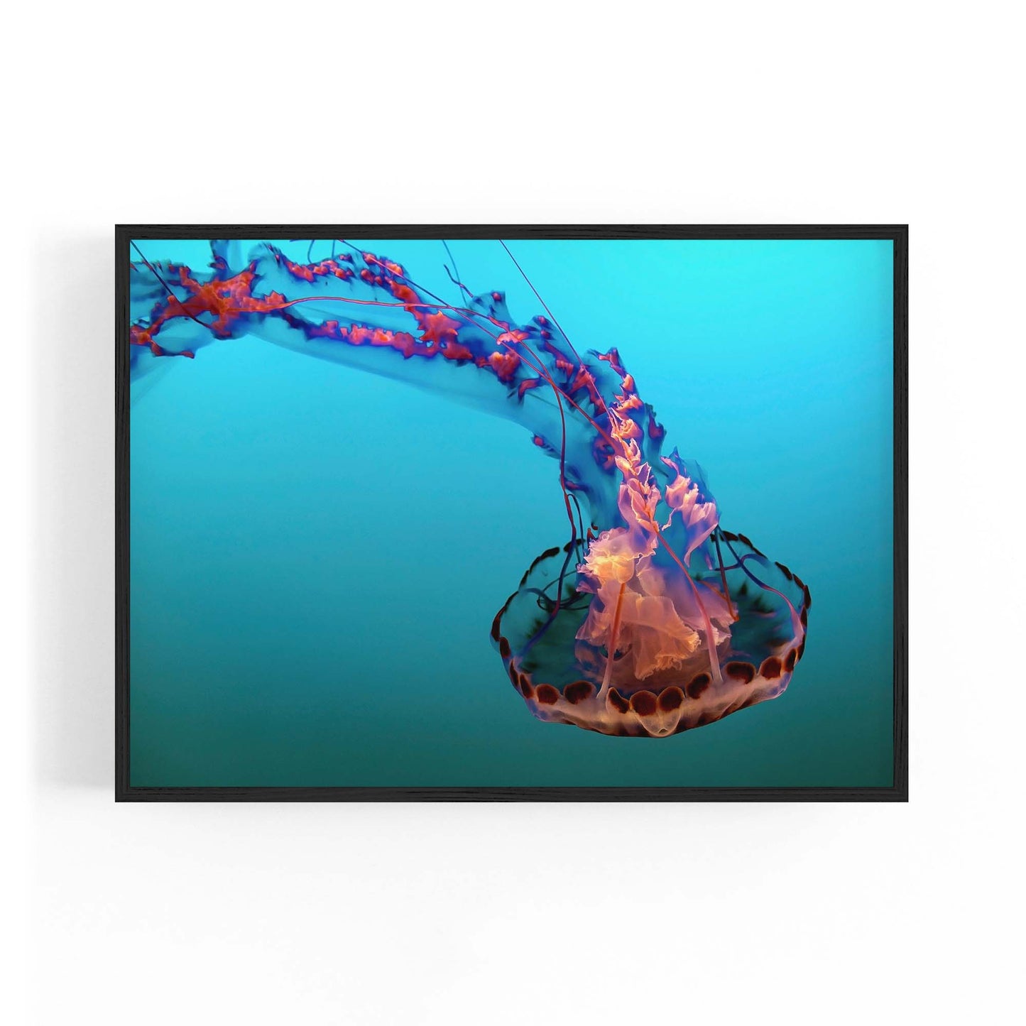 Electric Jellyfish Blue Photograph Neon Wall Art - The Affordable Art Company