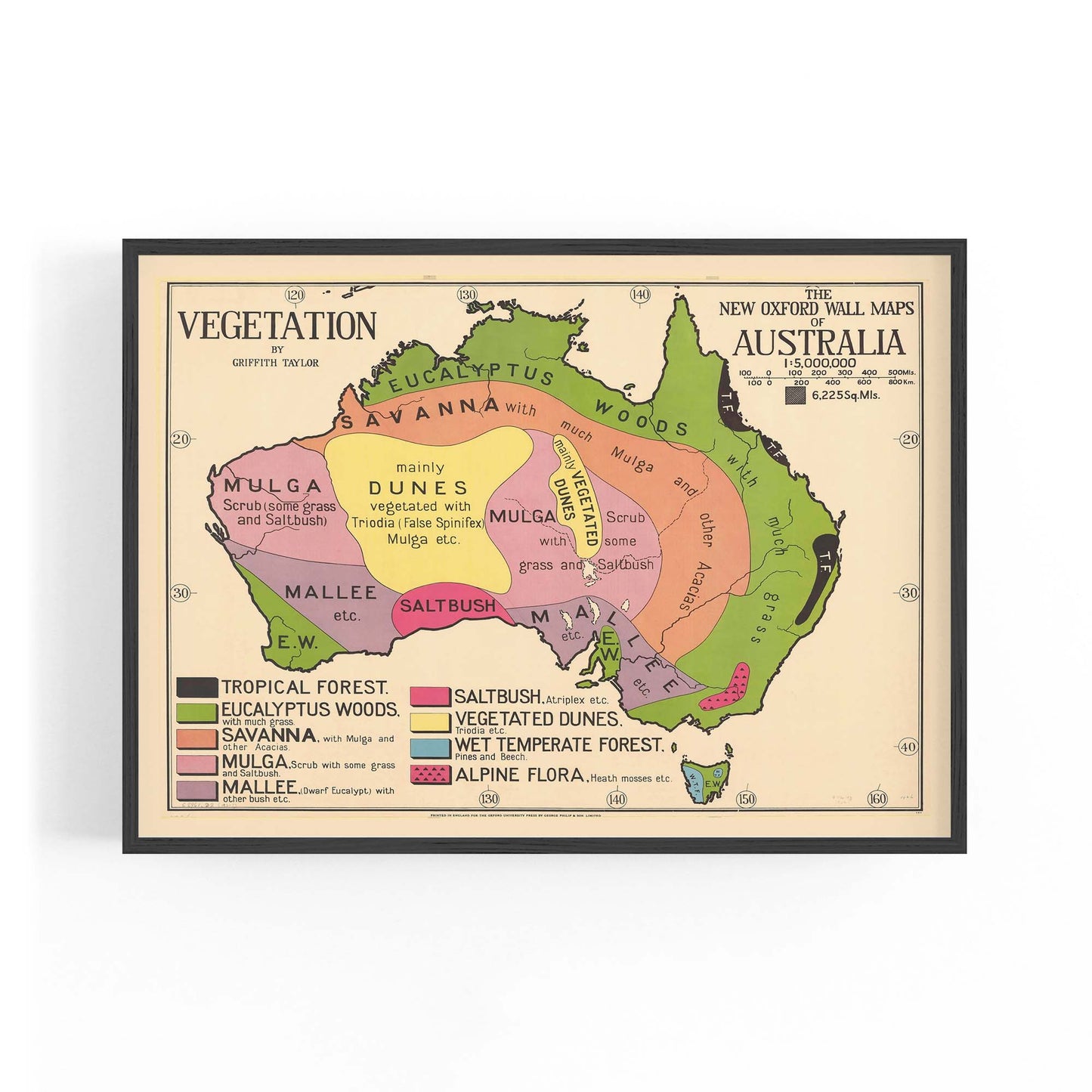 Australian Vegetation Vintage Map Wall Art - The Affordable Art Company