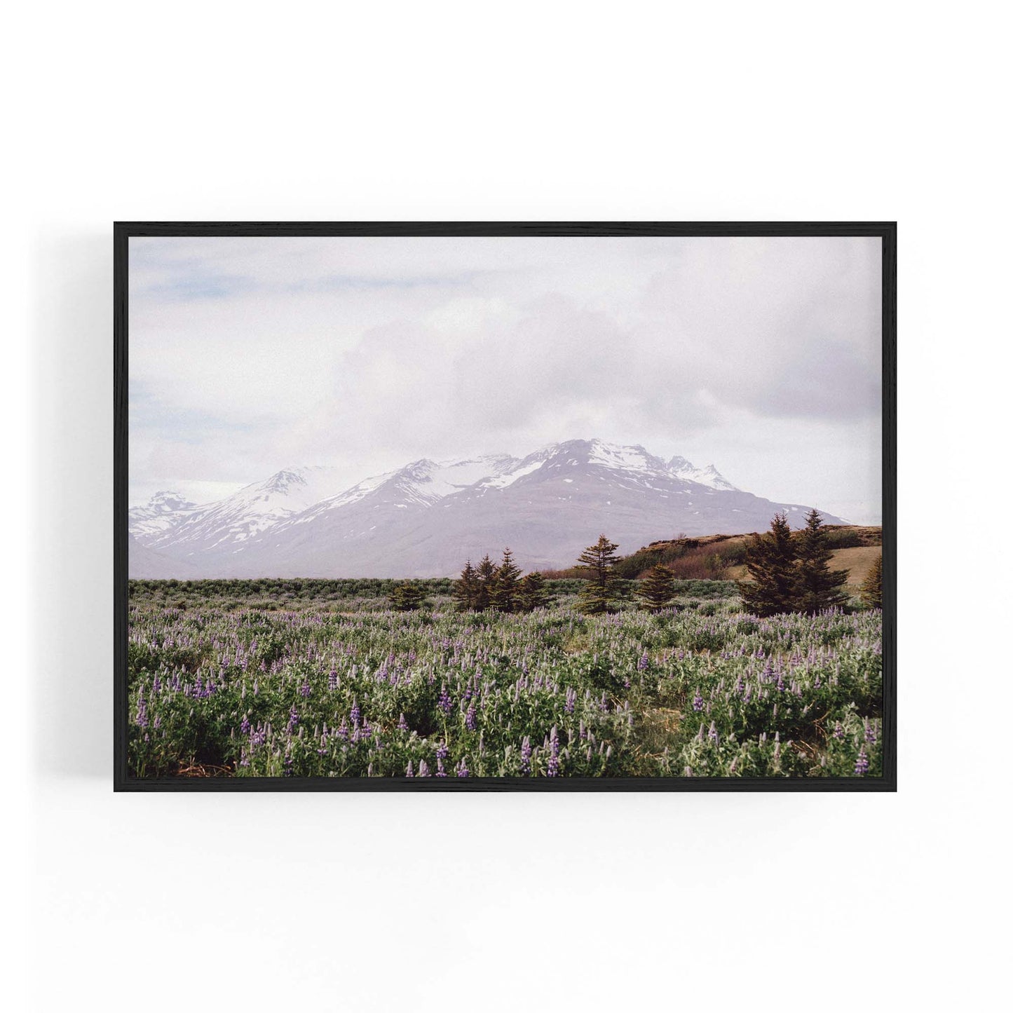 Calm Winter Landscape Photograph Wall Art - The Affordable Art Company