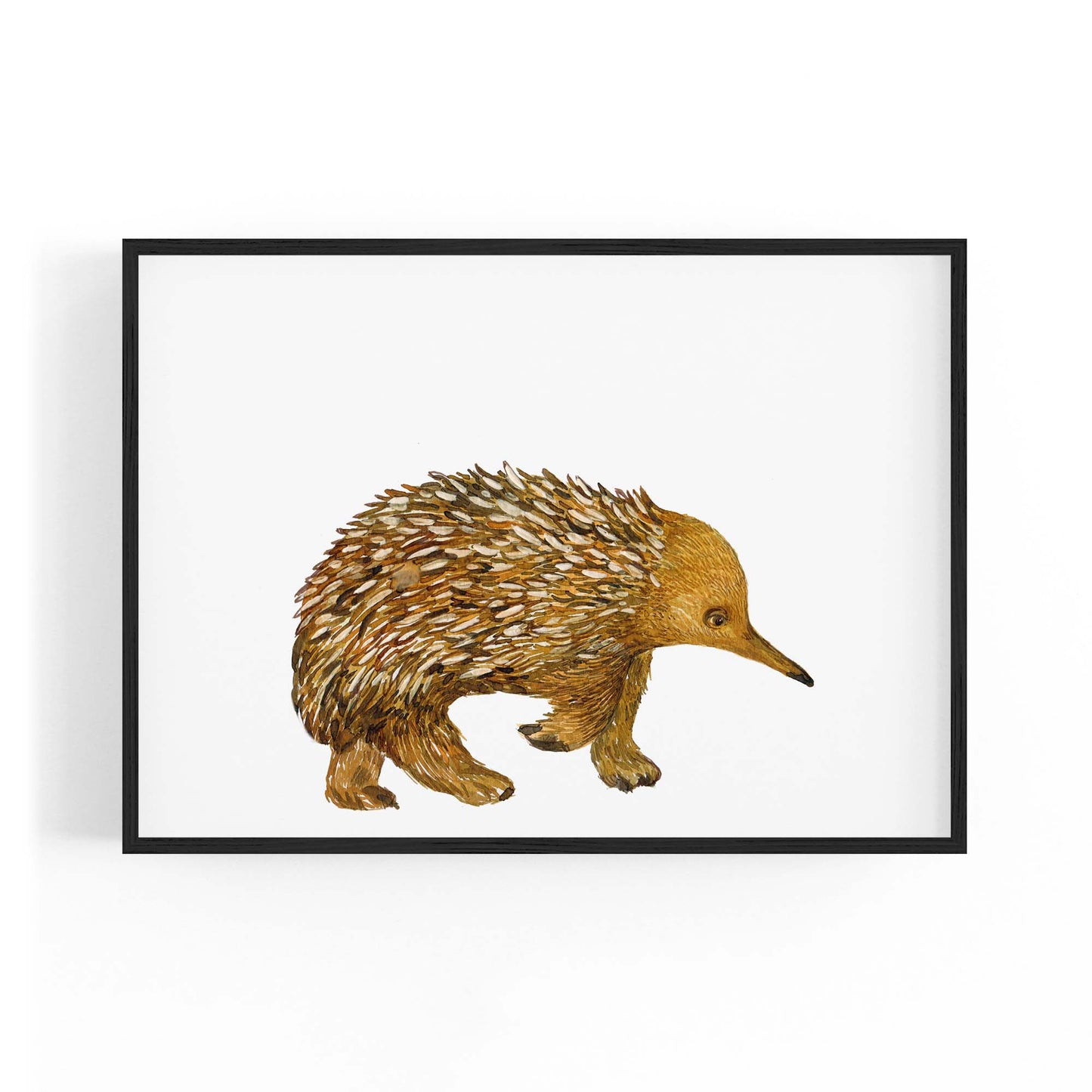 Australian Echidna Painting Animal Nursery Wall Art - The Affordable Art Company