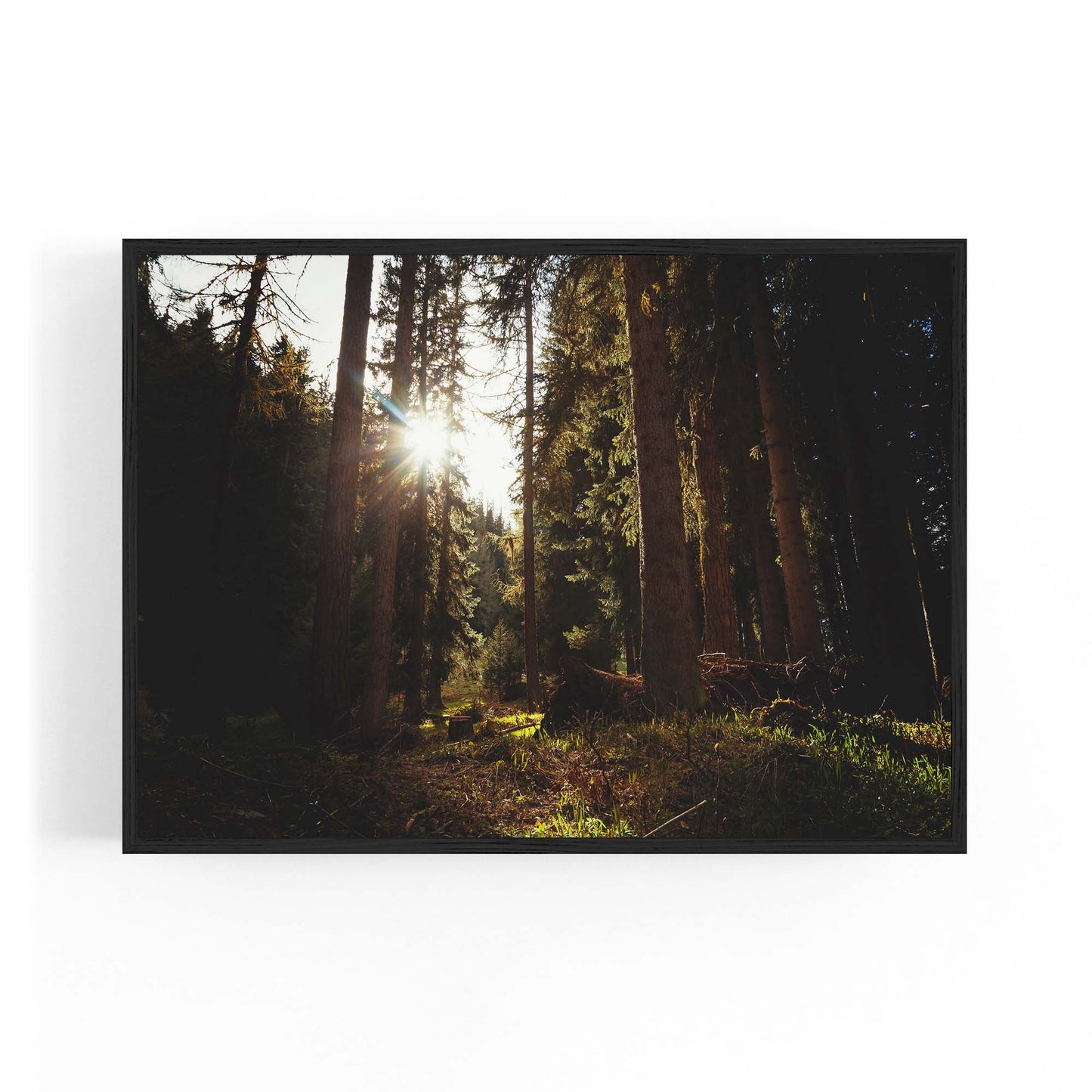 Morning Nature Sunset Photograph Wall Art - The Affordable Art Company