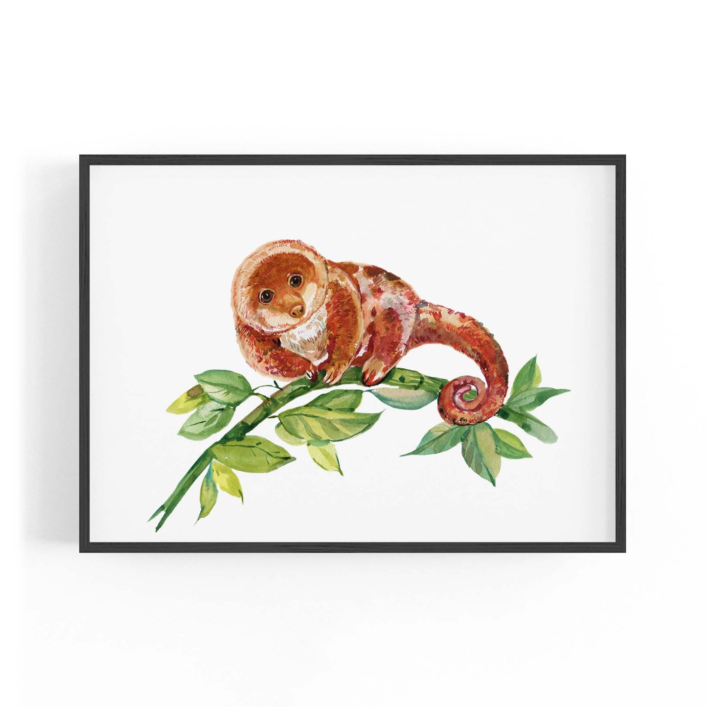 Australian Tree Kangaroo Painting Animal Wall Art - The Affordable Art Company