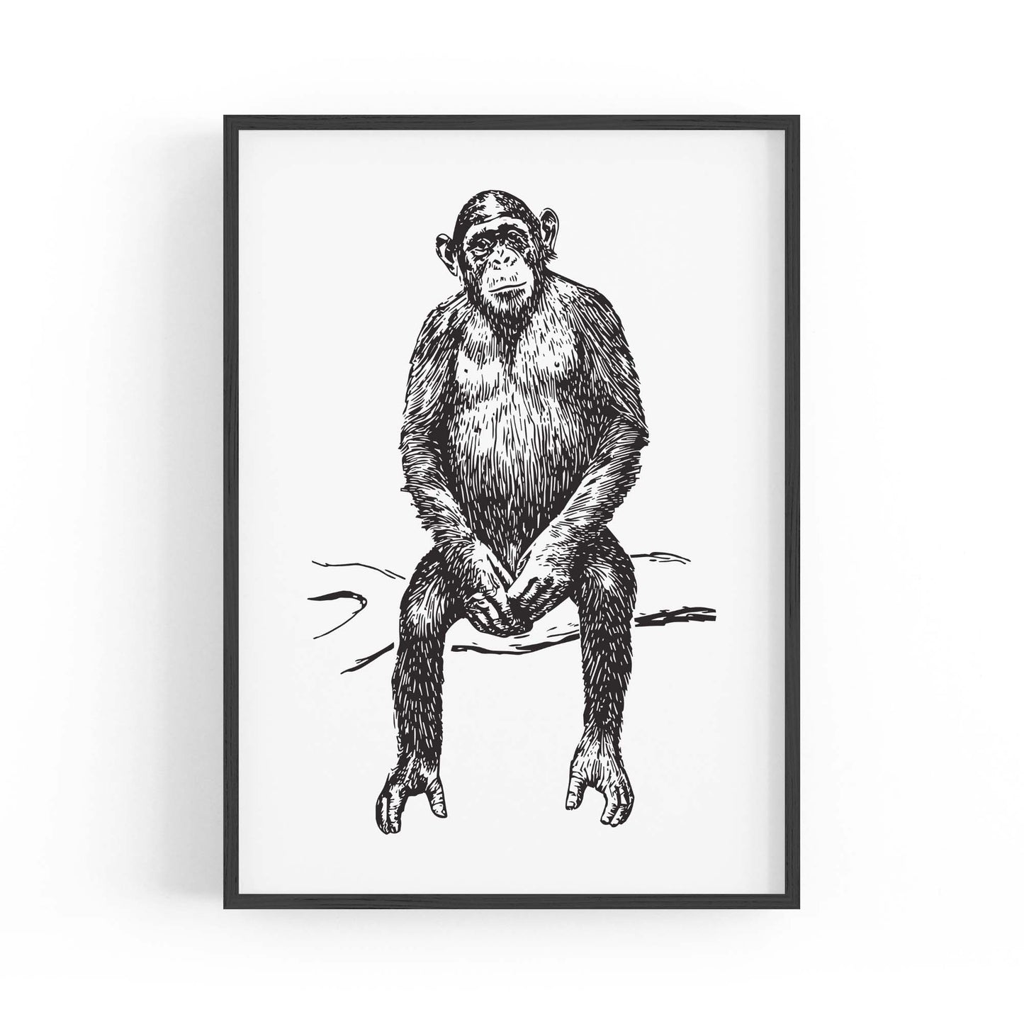 Monkey Drawing Animal Jungle Wall Art - The Affordable Art Company