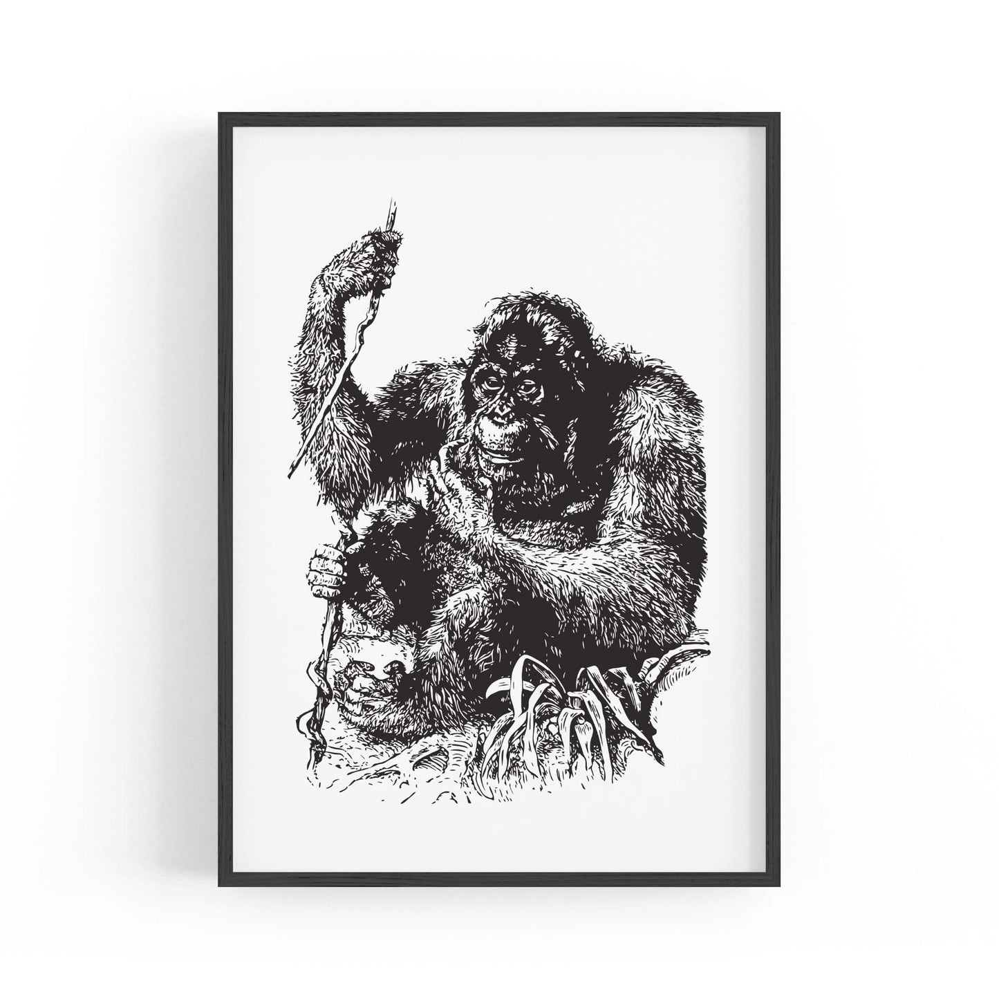 Orangutan Drawing Jungle Animal Wall Art - The Affordable Art Company