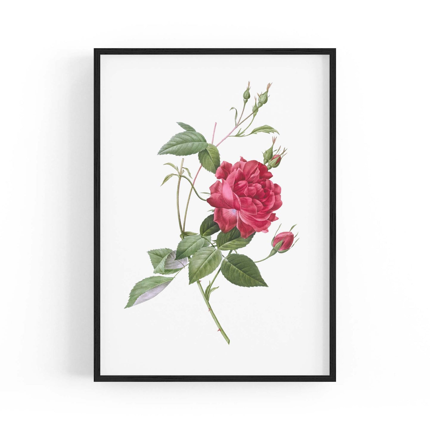 Flower Botanical Painting Kitchen Hallway Wall Art #31 - The Affordable Art Company
