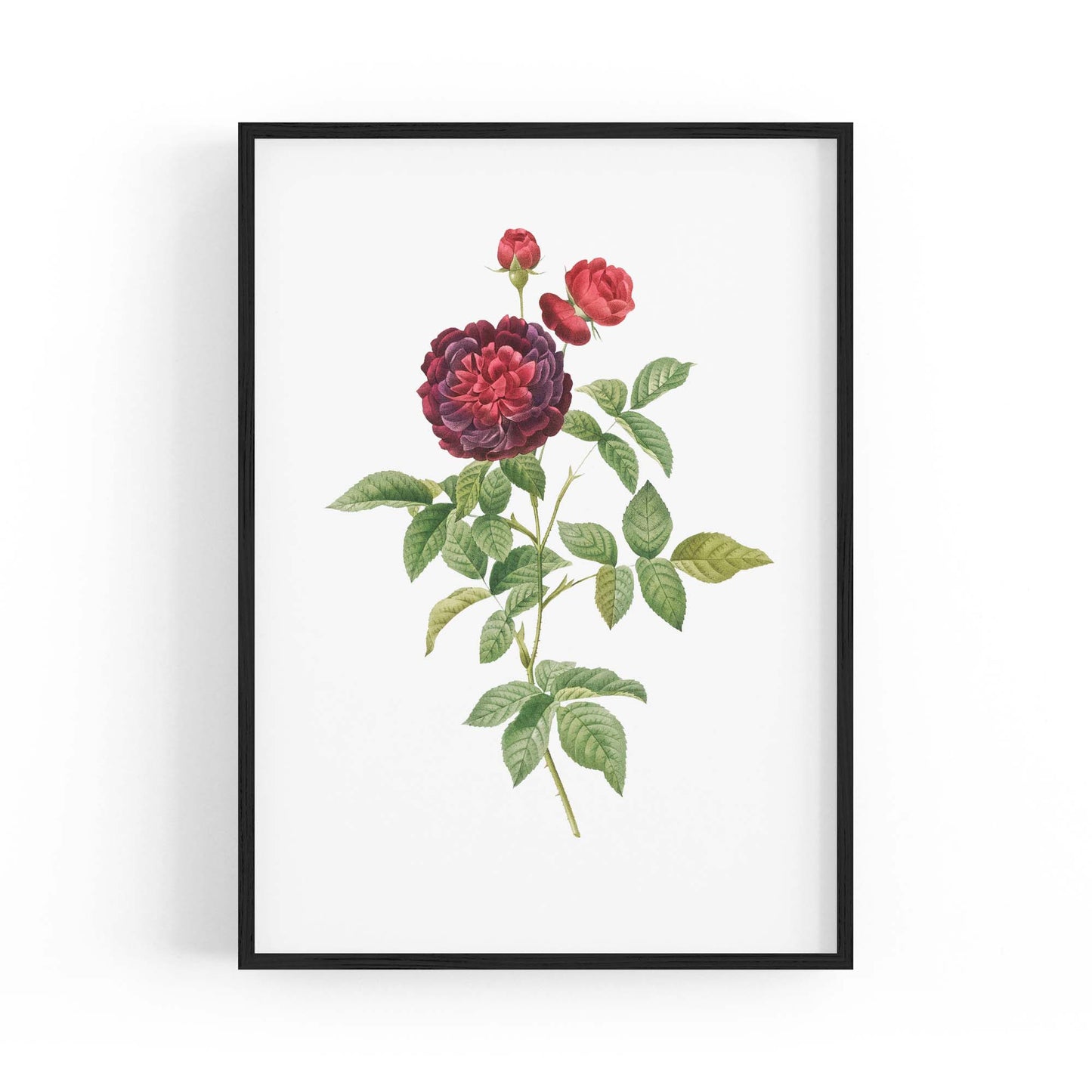 Flower Botanical Painting Kitchen Hallway Wall Art #30 - The Affordable Art Company