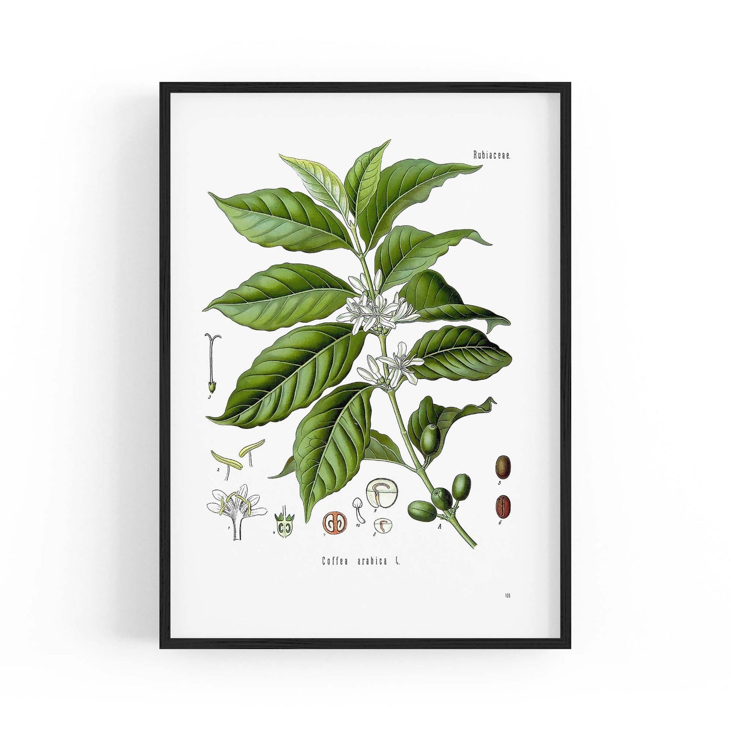 Coffee Branch Botanical Kitchen Cafe Wall Art #1 - The Affordable Art Company