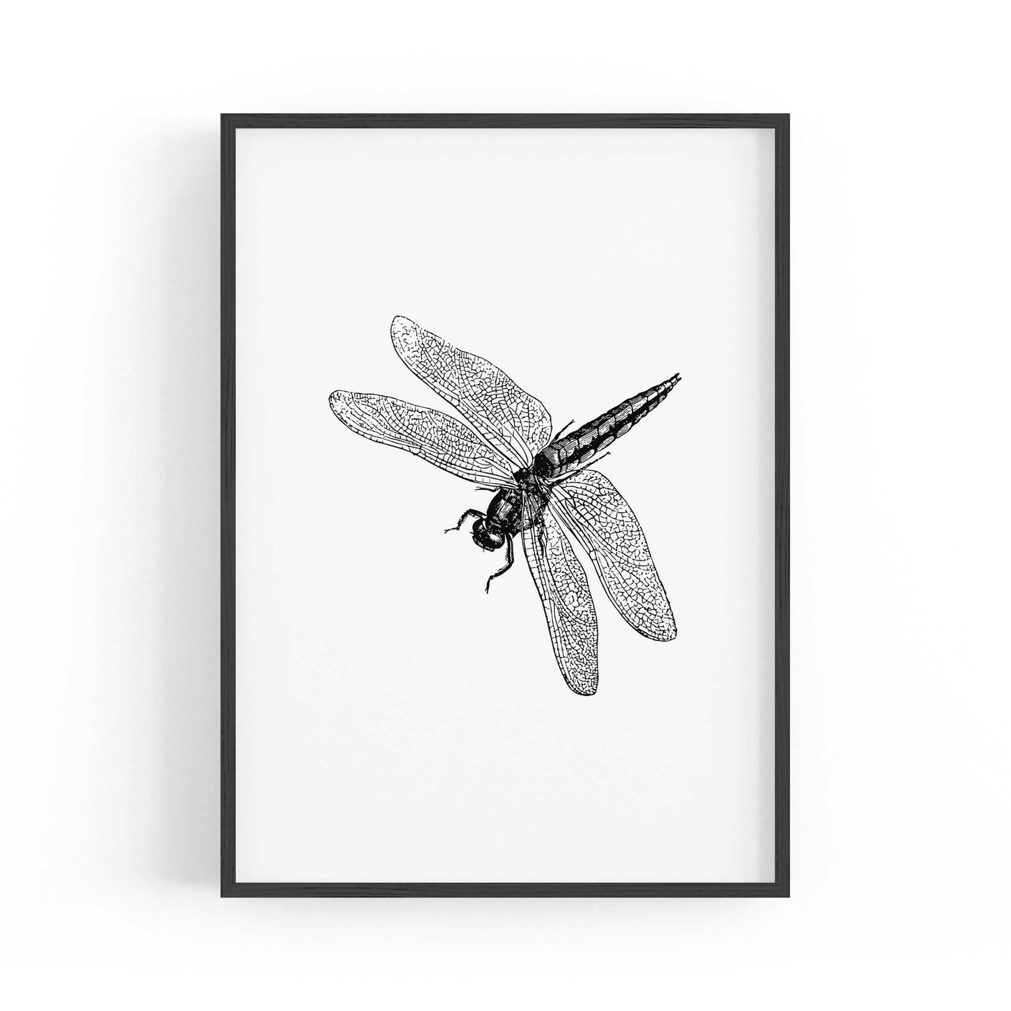 Dragonfly Drawing Insect Minimal Artwork Wall Art #2 - The Affordable Art Company