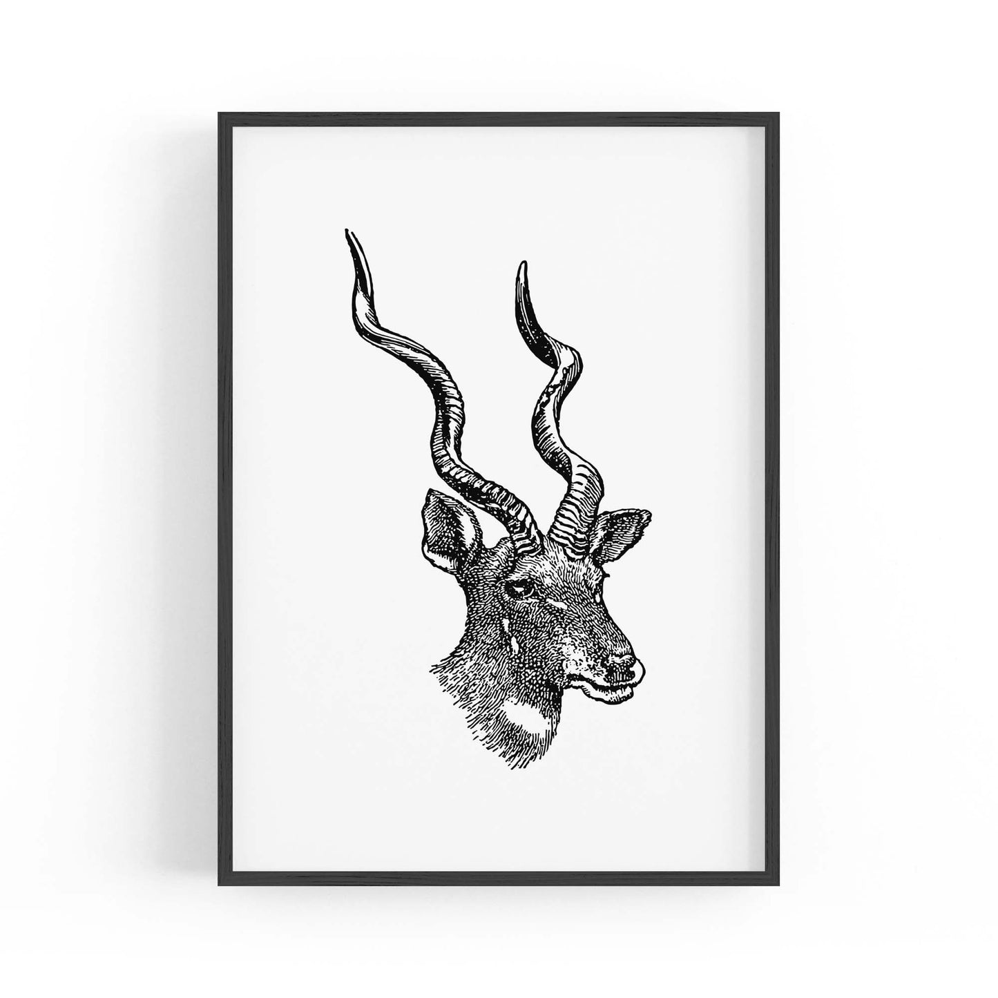 Kudu Detailed Drawing African Safari Wall Art - The Affordable Art Company