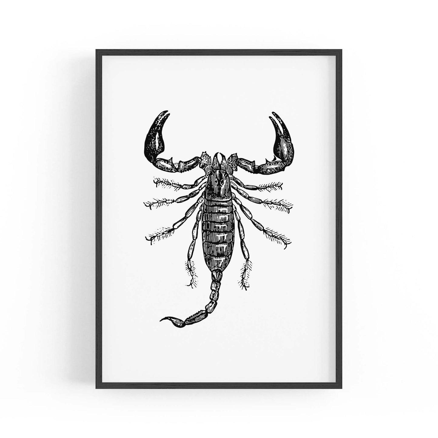 Scorpion Drawing Insect Man Cave Wall Art - The Affordable Art Company