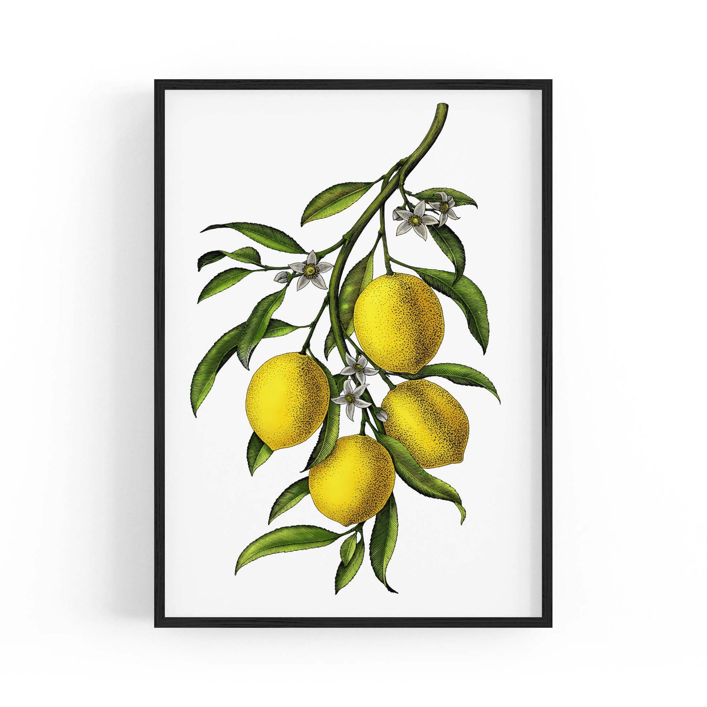 Lemon Branch Vintage Botanical Kitchen Wall Art - The Affordable Art Company