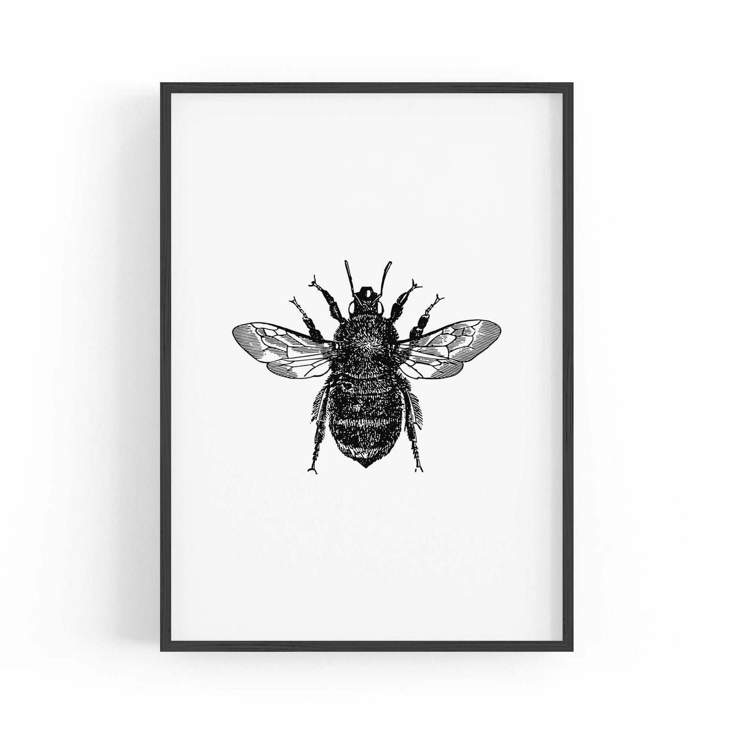 Bumblebee Drawing Insect Minimal Wall Art - The Affordable Art Company