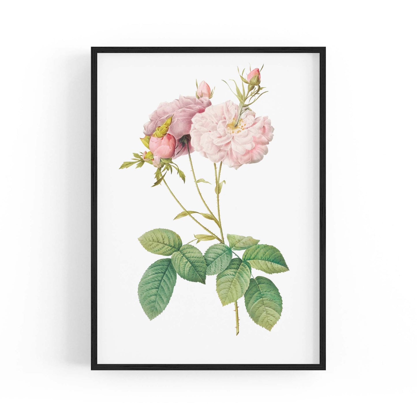 Flower Botanical Painting Kitchen Hallway Wall Art #42 - The Affordable Art Company