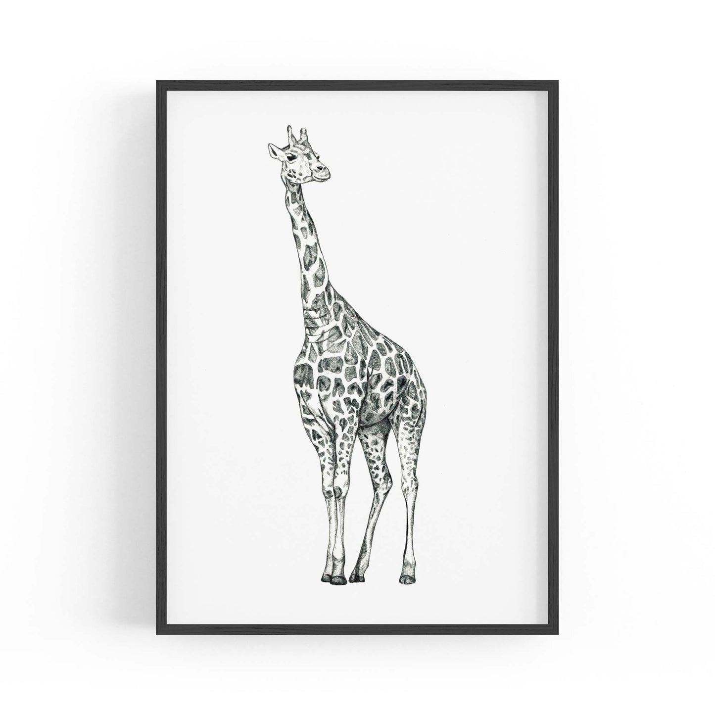 Detailed Giraffe Drawing Safari Animal Wall Art #1 - The Affordable Art Company