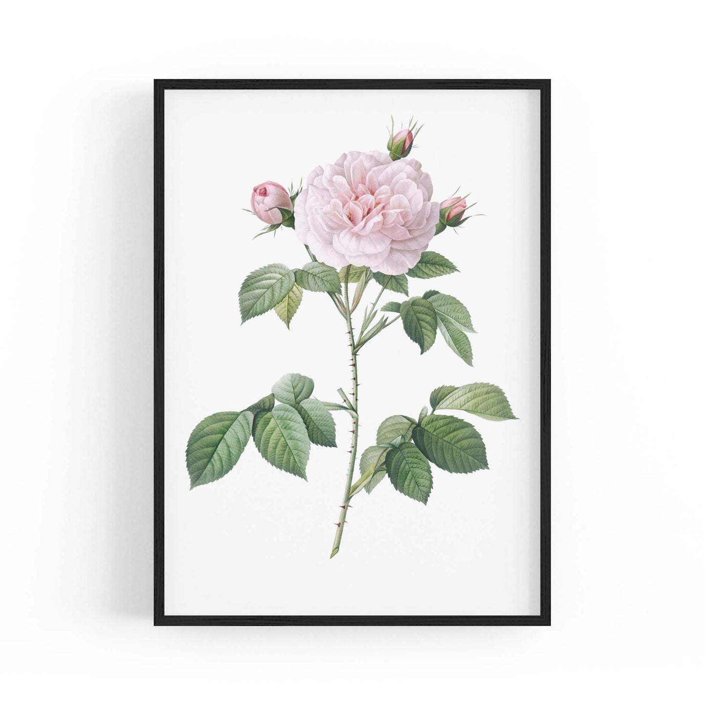 Flower Botanical Painting Kitchen Hallway Wall Art #11 - The Affordable Art Company