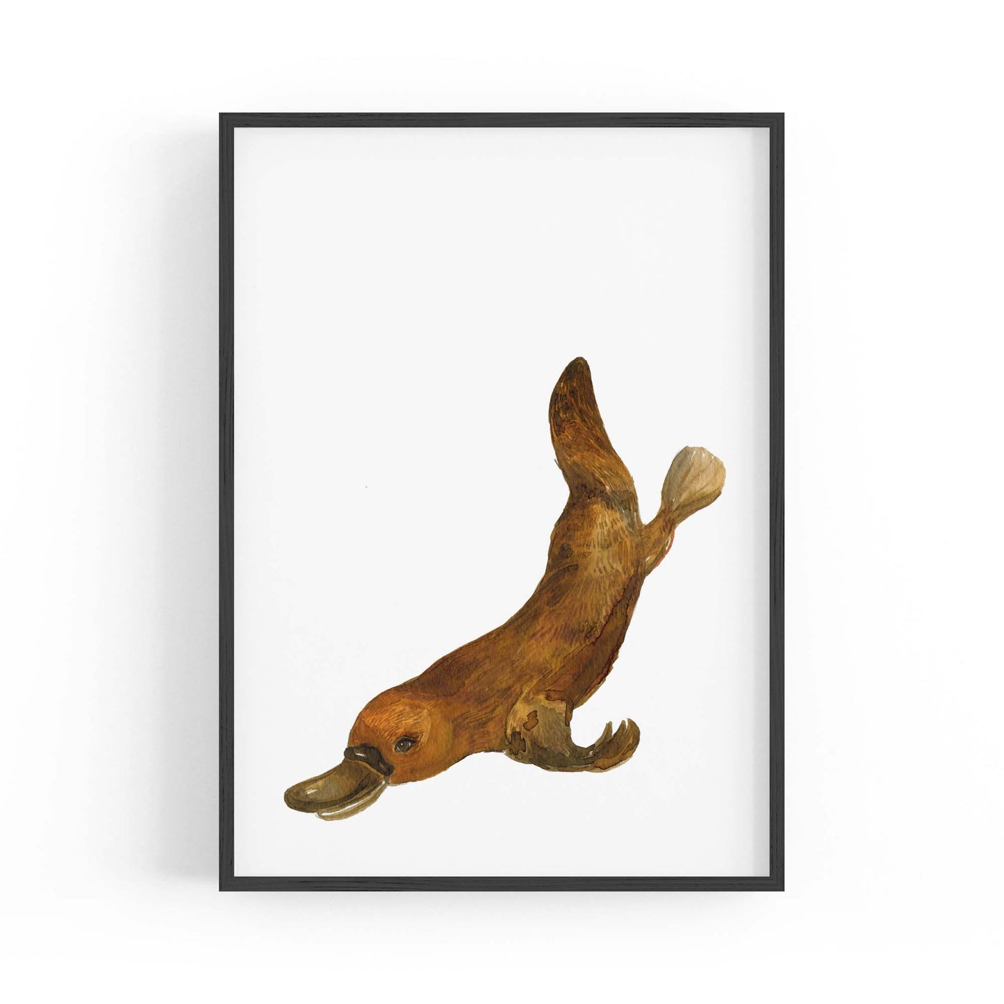 Australian Platypus Painting Animal Nursery Wall Art - The Affordable Art Company