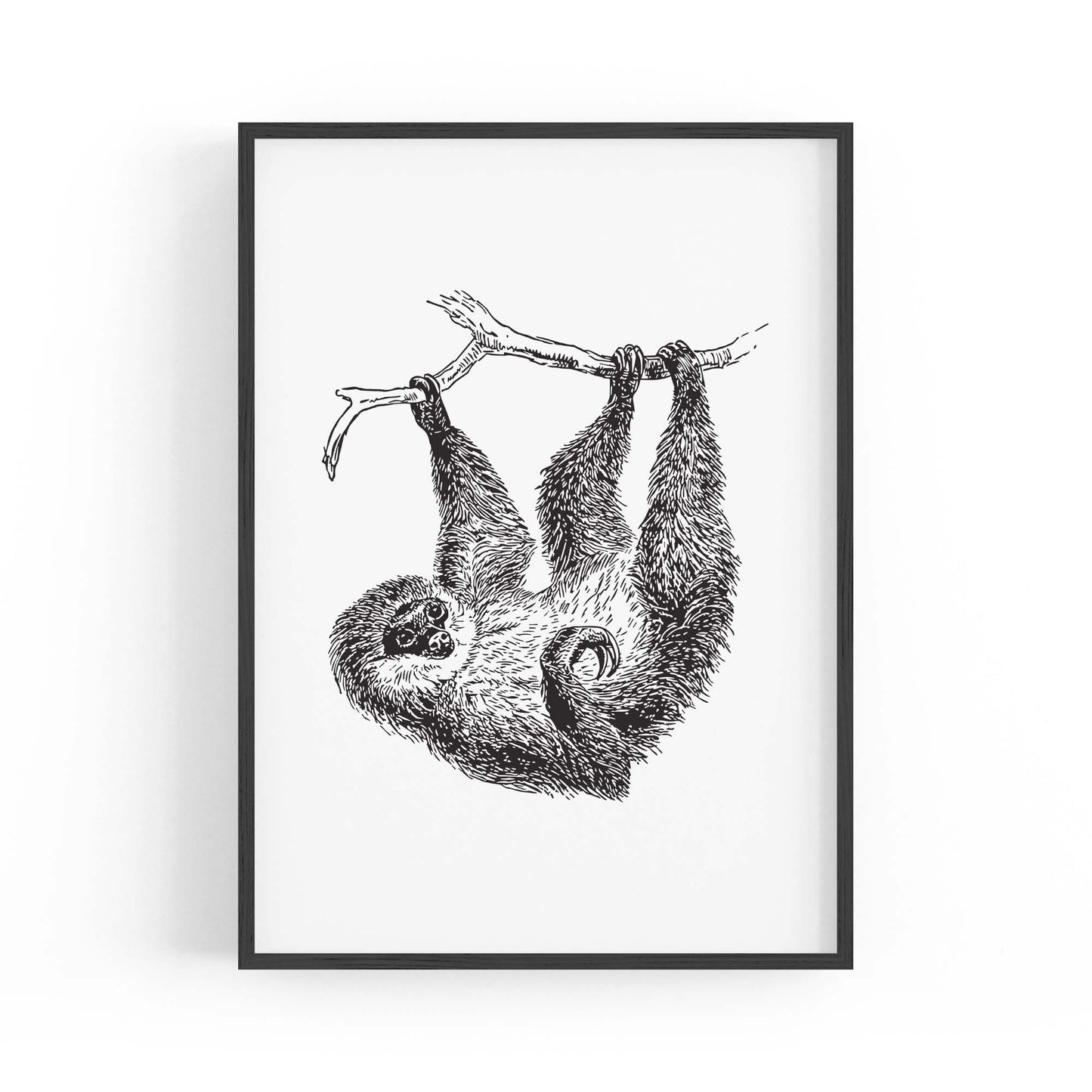 Sloth Drawing Animal Minimal Wall Art - The Affordable Art Company