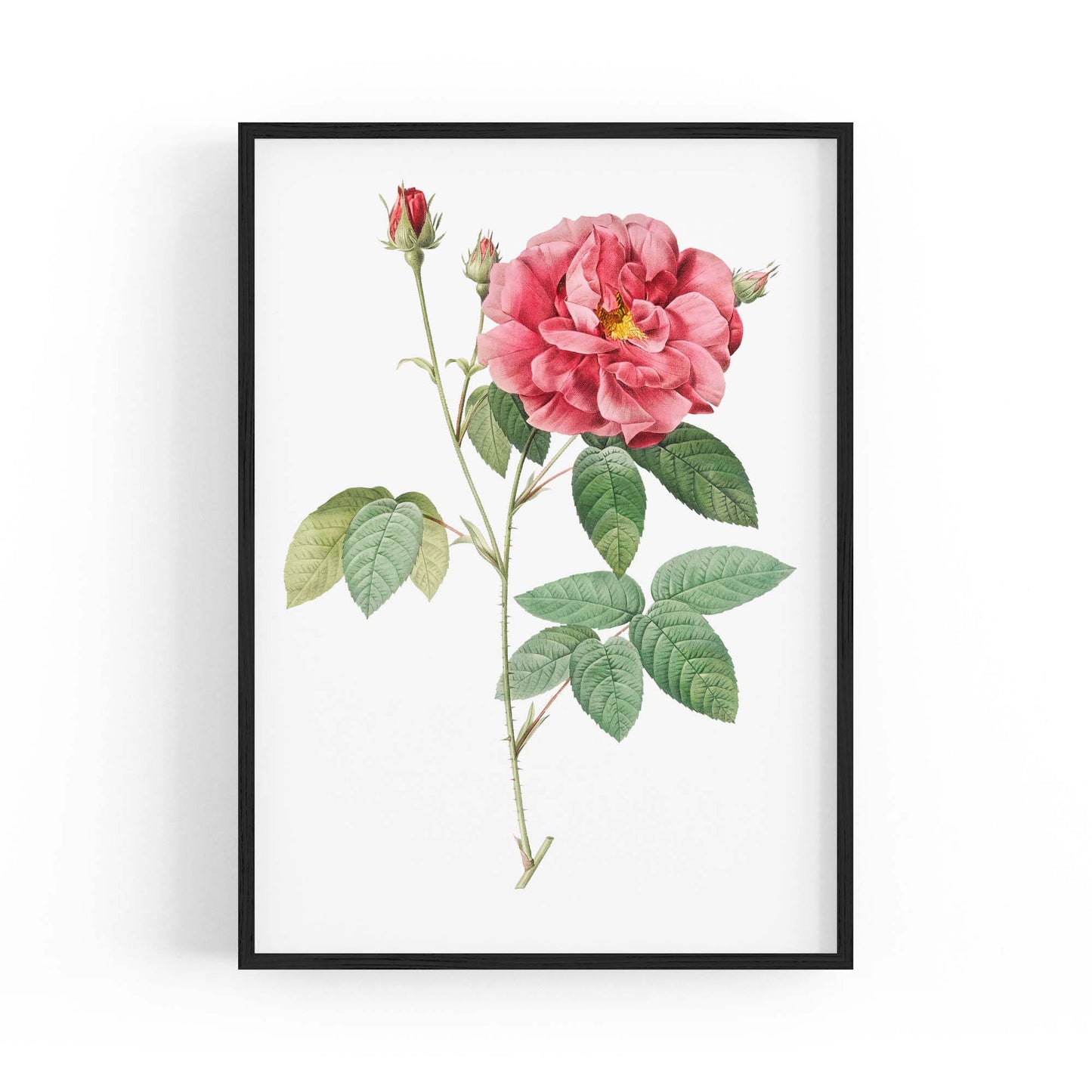 Flower Botanical Painting Kitchen Hallway Wall Art #17 - The Affordable Art Company