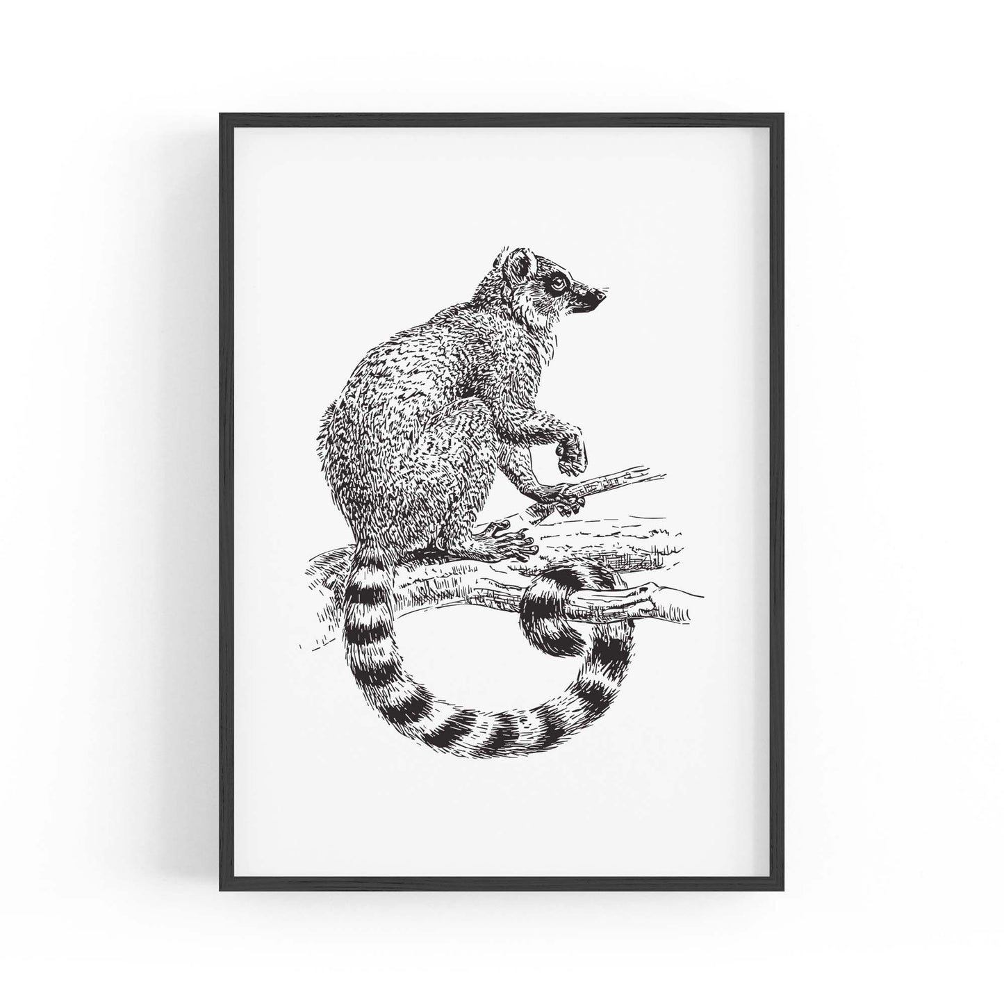 Possum Drawing Animal Wall Art - The Affordable Art Company