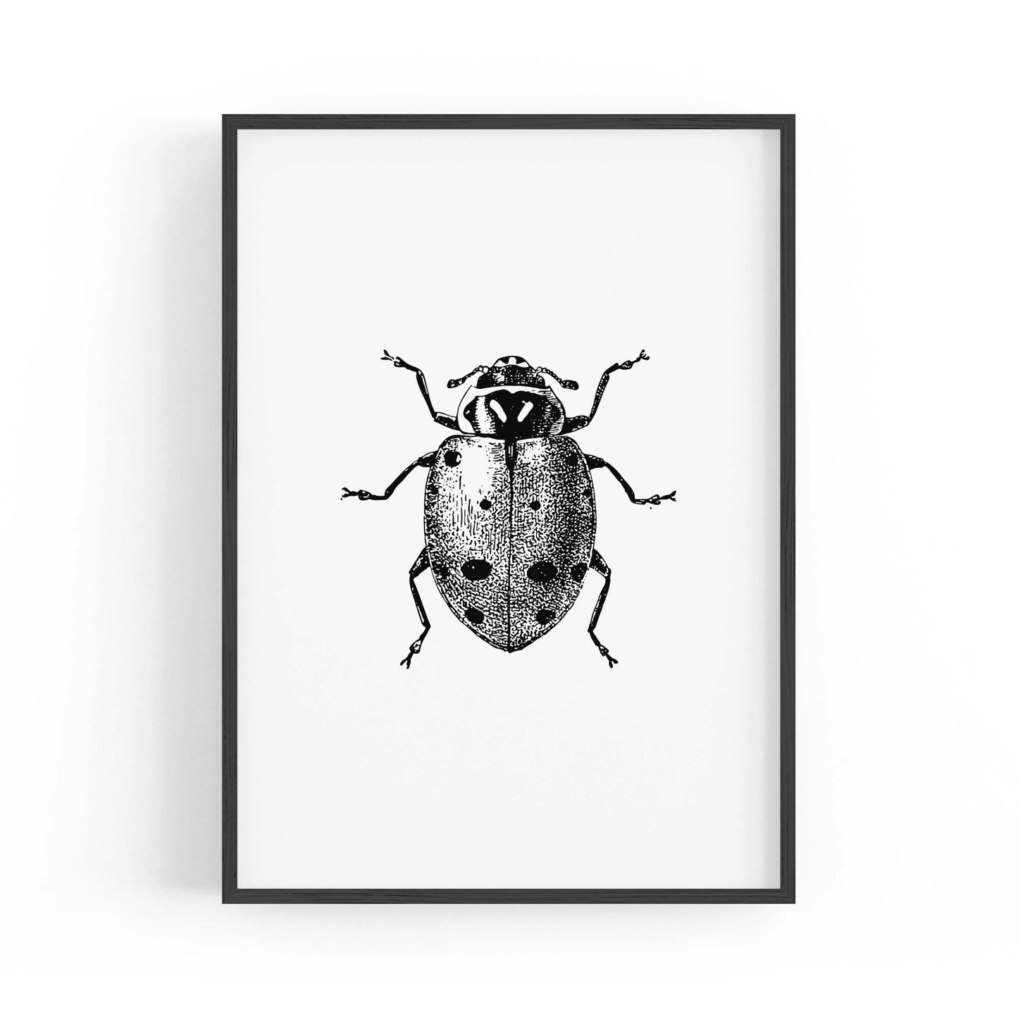 Ladybird Detailed Drawing Insect Office Wall Art - The Affordable Art Company