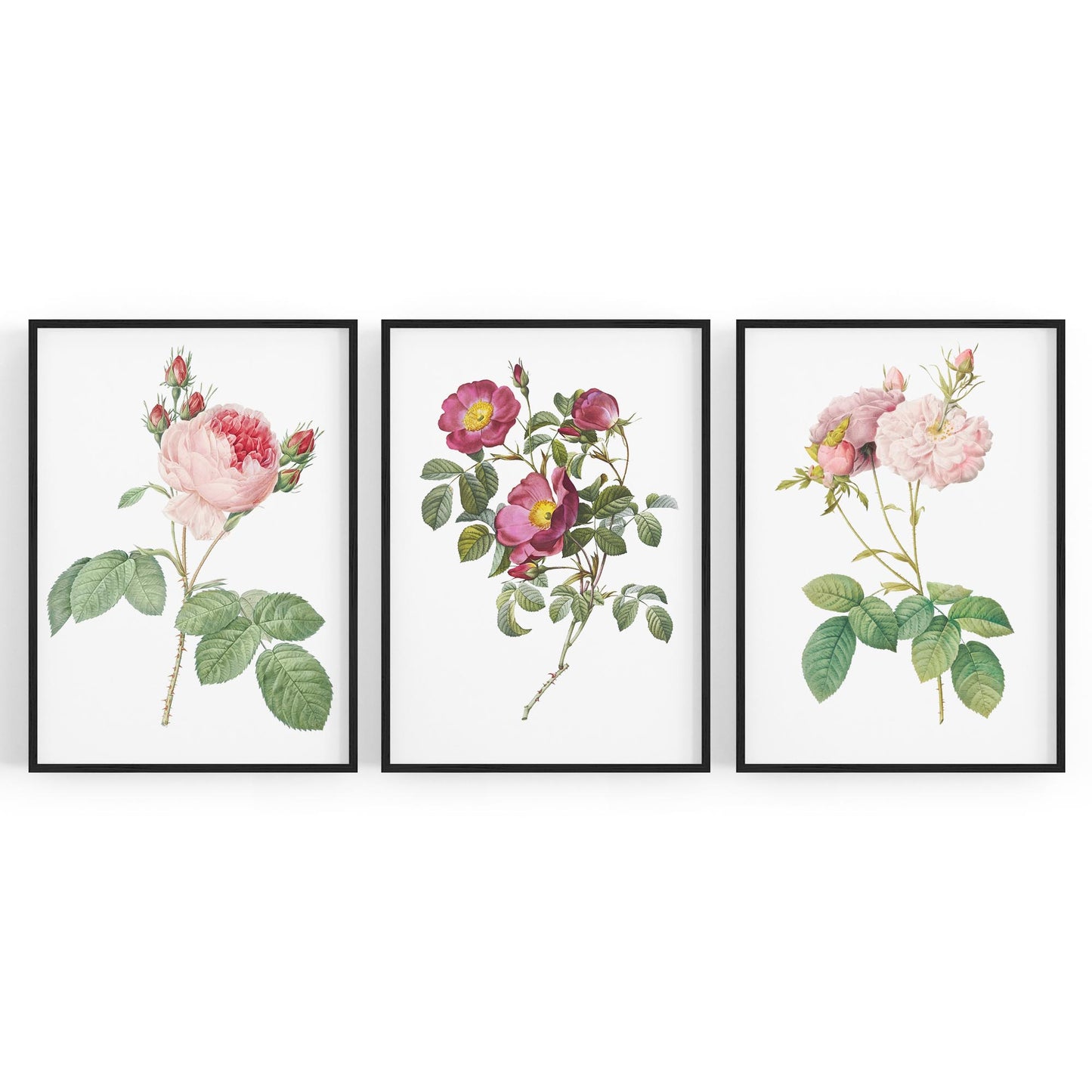 Set of Pink & White Flower Botanical Wall Art - The Affordable Art Company