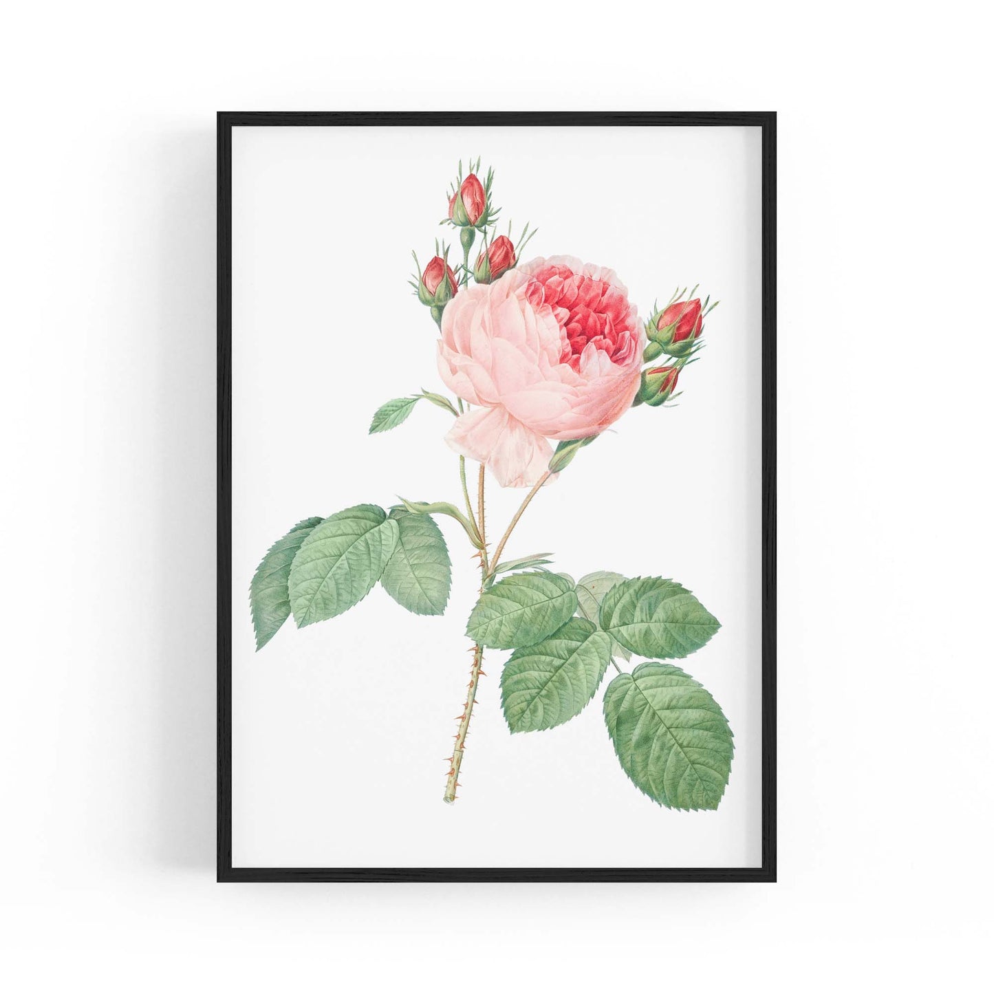 Flower Botanical Painting Kitchen Hallway Wall Art #36 - The Affordable Art Company