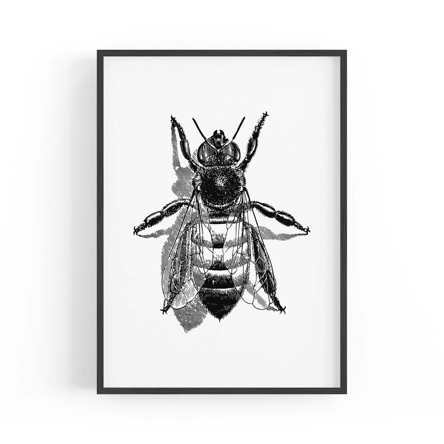 Worker Bee Drawing Insect Honey Wall Art - The Affordable Art Company