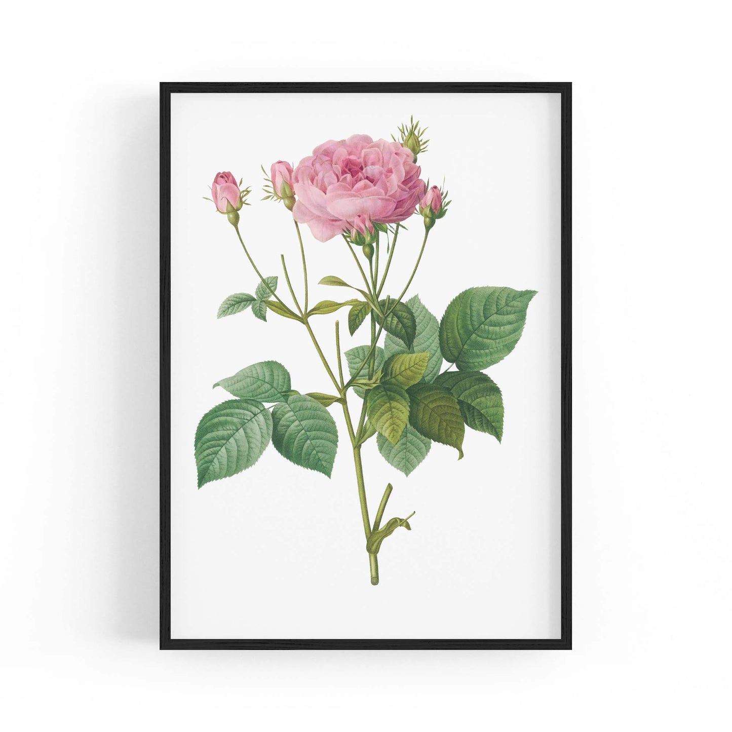 Flower Botanical Painting Kitchen Hallway Wall Art #18 - The Affordable Art Company