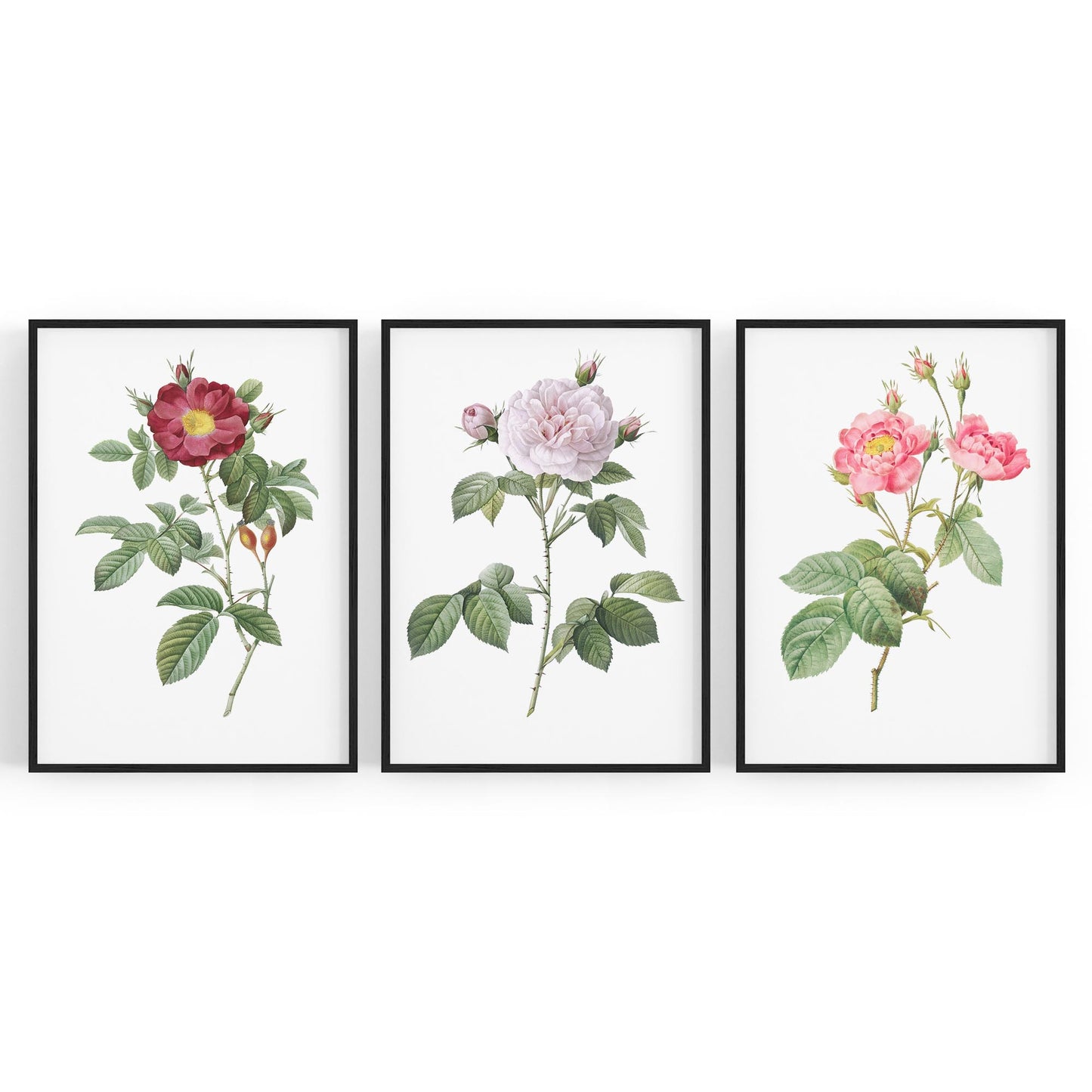 Set of Pink Floral Vintage Botanical Wall Art #3 - The Affordable Art Company