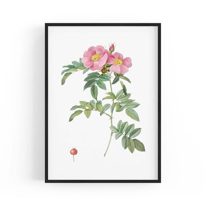 Flower Botanical Painting Kitchen Hallway Wall Art #32 - The Affordable Art Company
