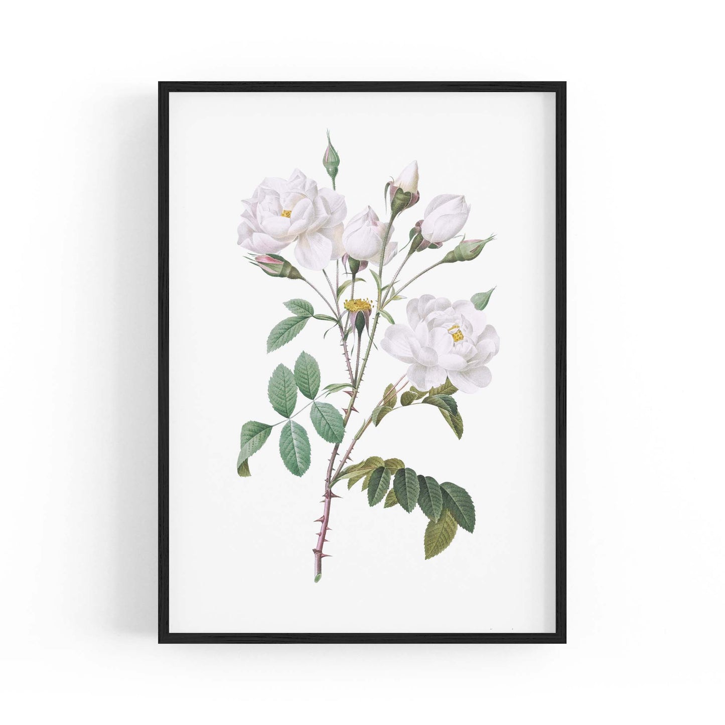 Flower Botanical Painting Kitchen Hallway Wall Art #15 - The Affordable Art Company