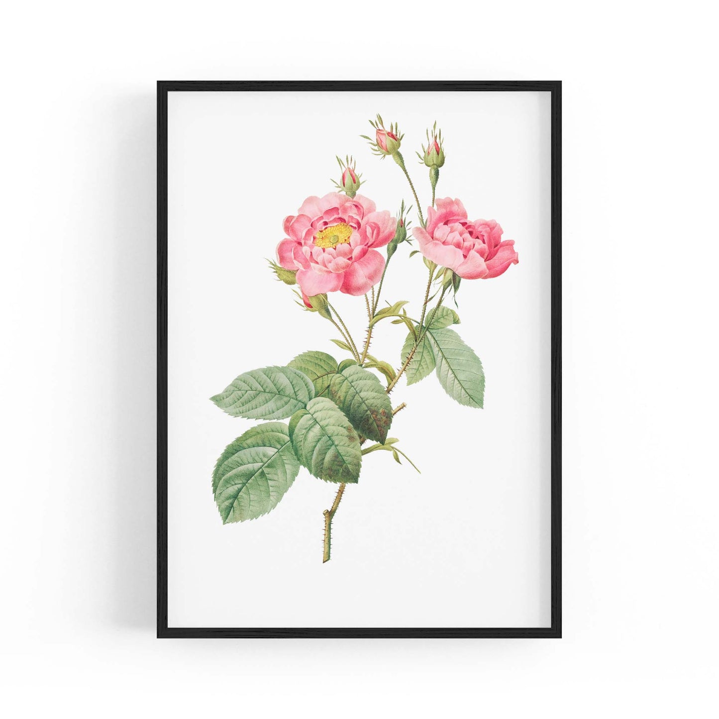 Flower Botanical Painting Kitchen Hallway Wall Art #12 - The Affordable Art Company