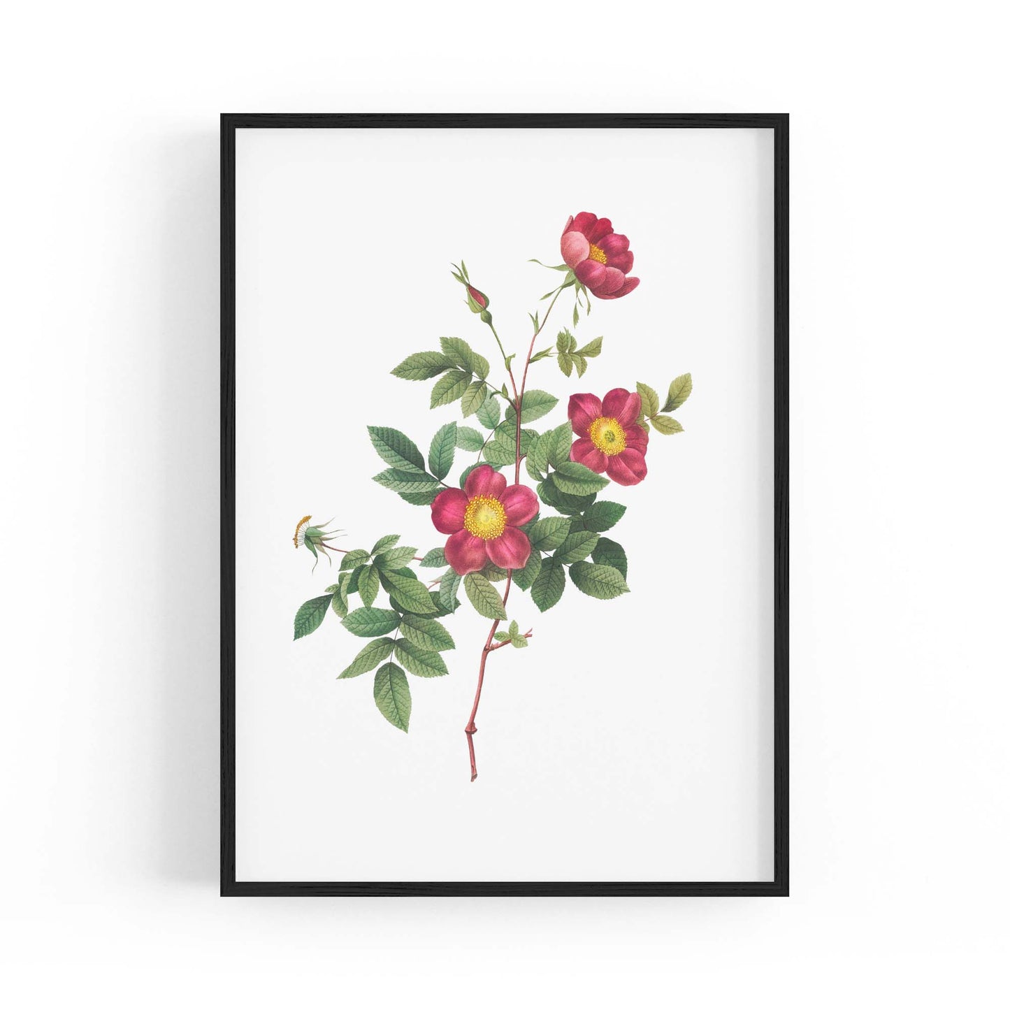 Flower Botanical Painting Kitchen Hallway Wall Art #7 - The Affordable Art Company