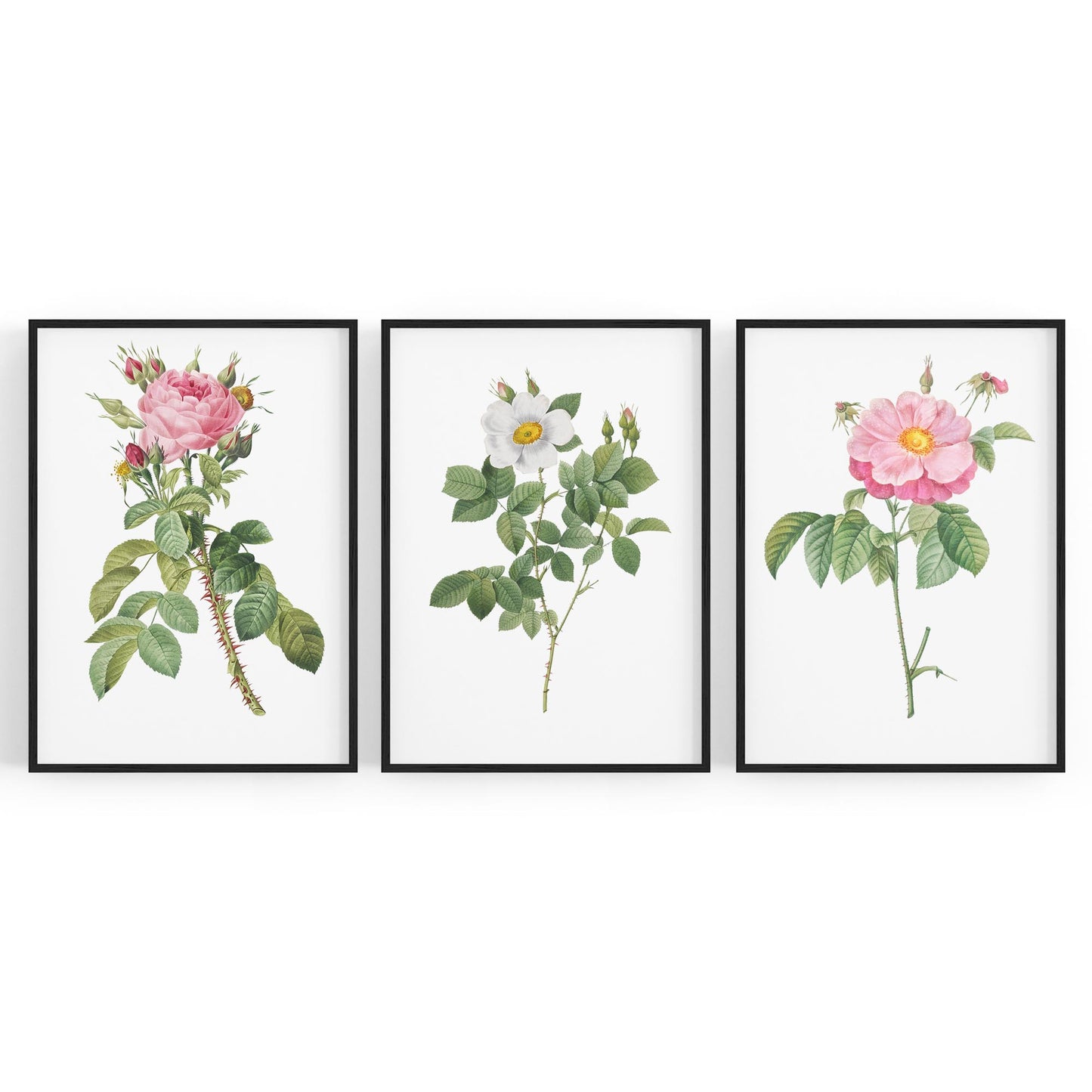 Set of Pink Floral Vintage Botanical Wall Art #2 - The Affordable Art Company