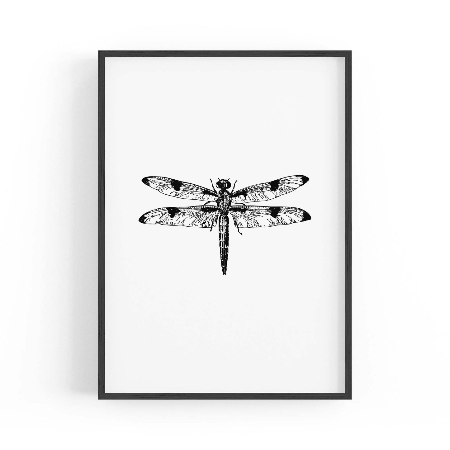 Dragonfly Drawing Insect Minimal Artwork Wall Art #1 - The Affordable Art Company