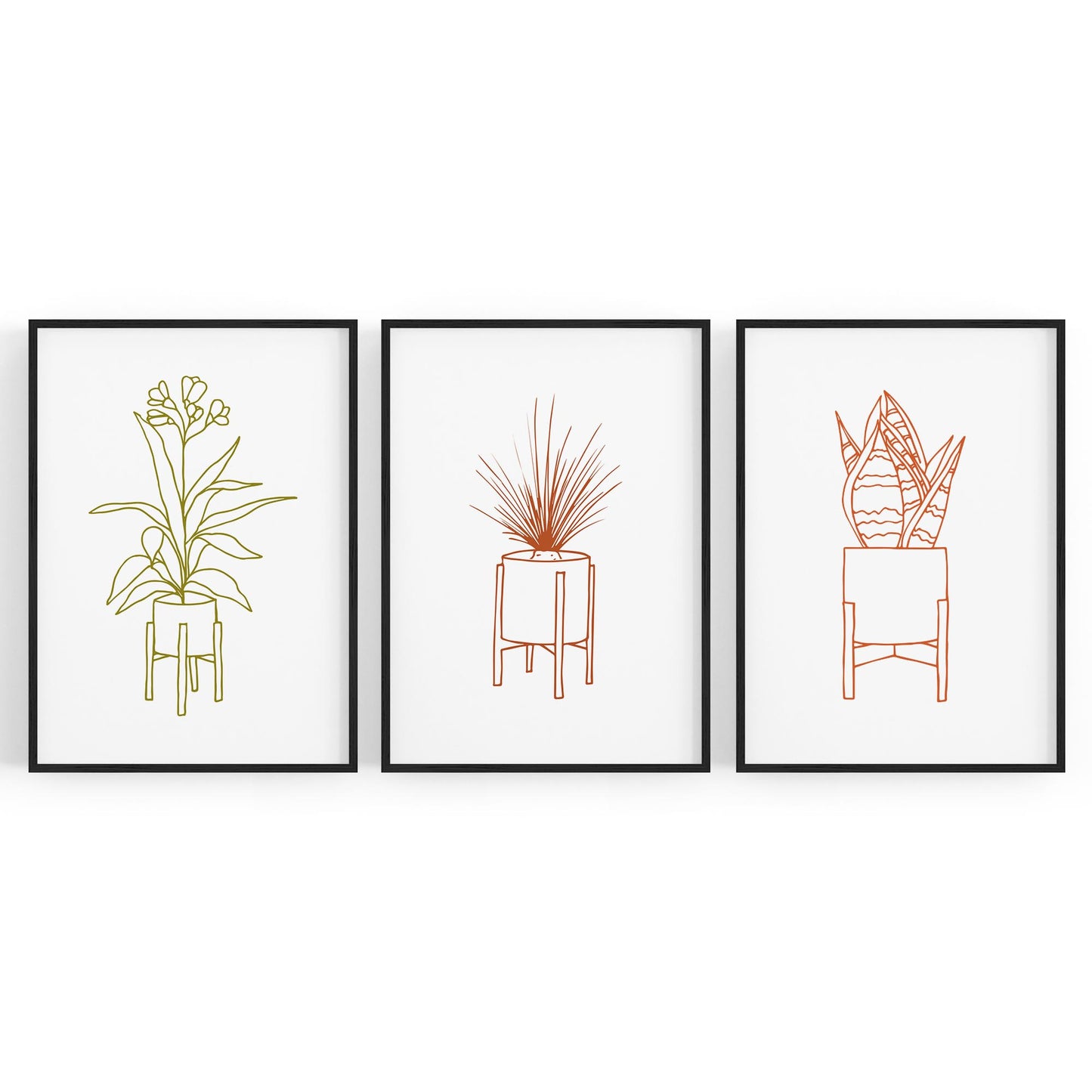 Set of Minimal House Plant Drawing Wall Art #1 - The Affordable Art Company