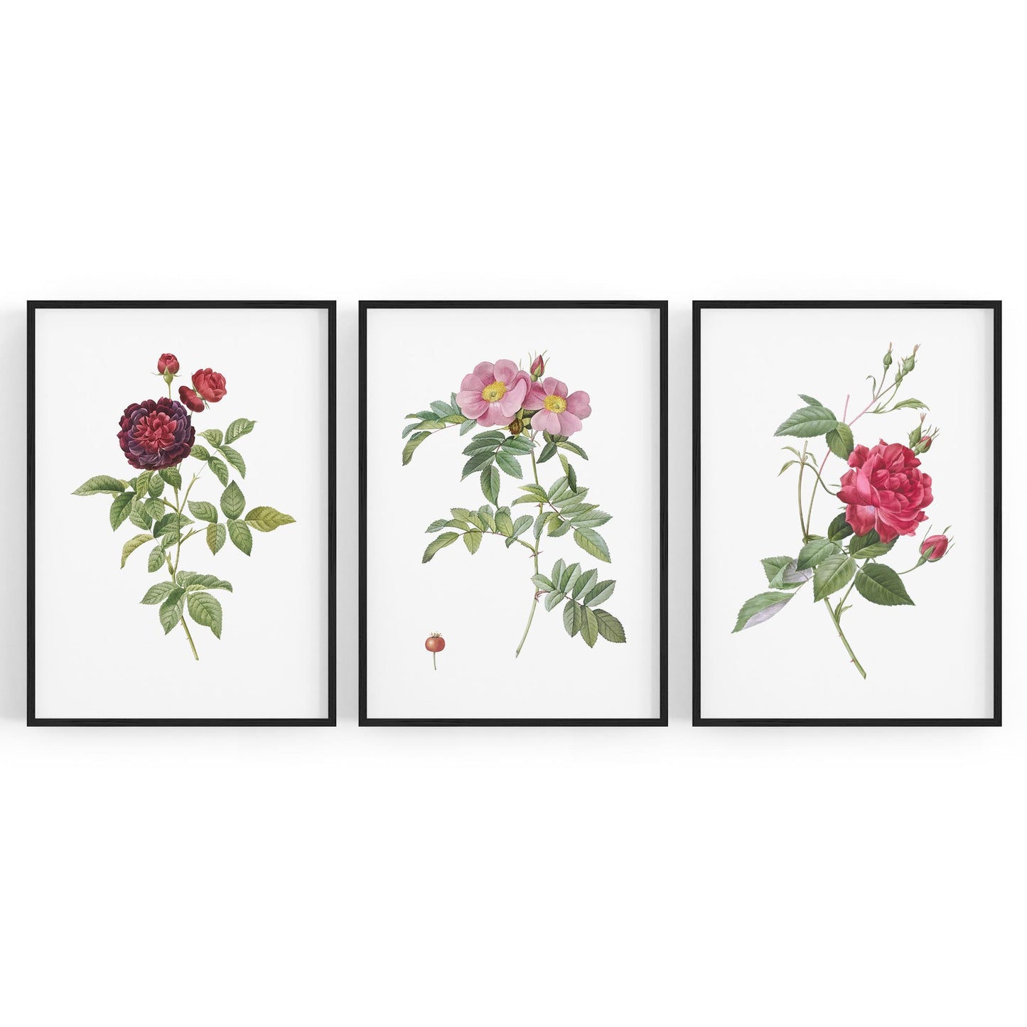 Set of Red & White Flower Botanical Wall Art - The Affordable Art Company