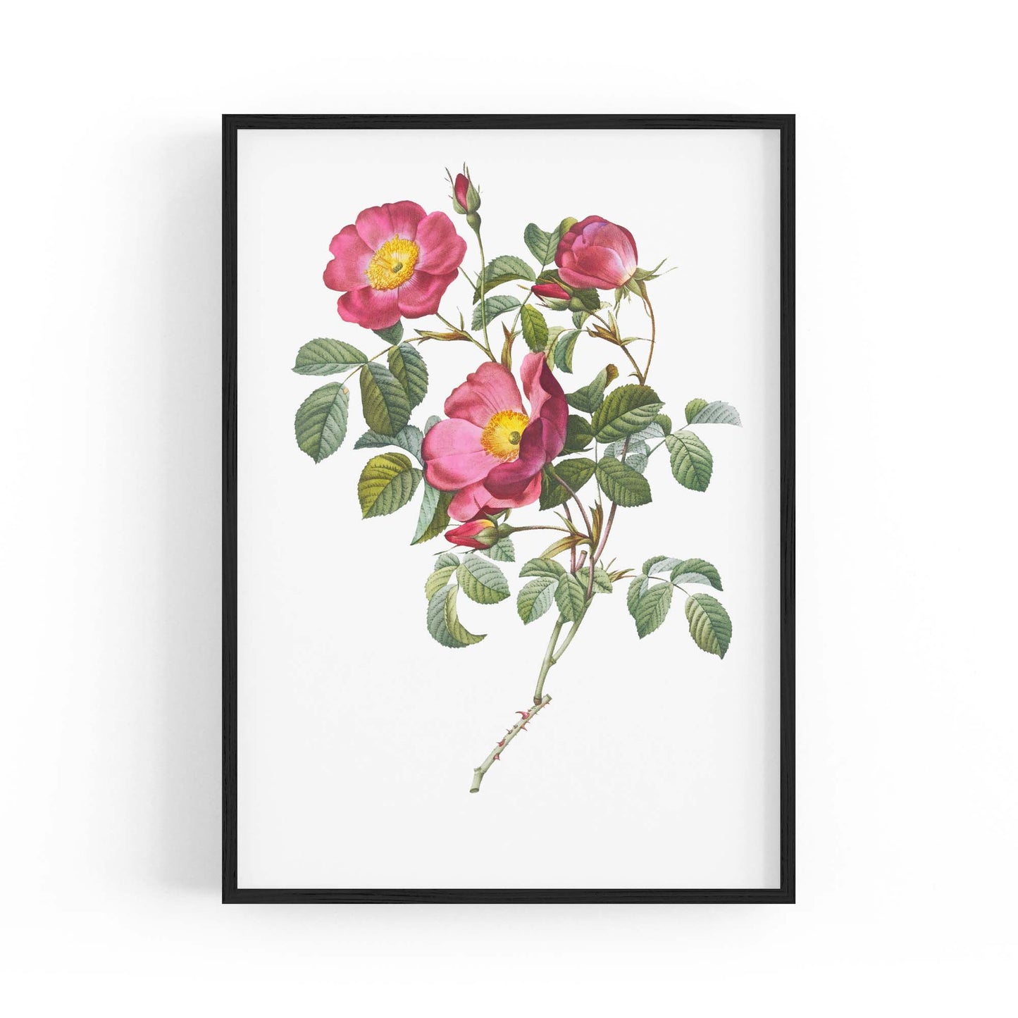 Flower Botanical Painting Kitchen Hallway Wall Art #41 - The Affordable Art Company