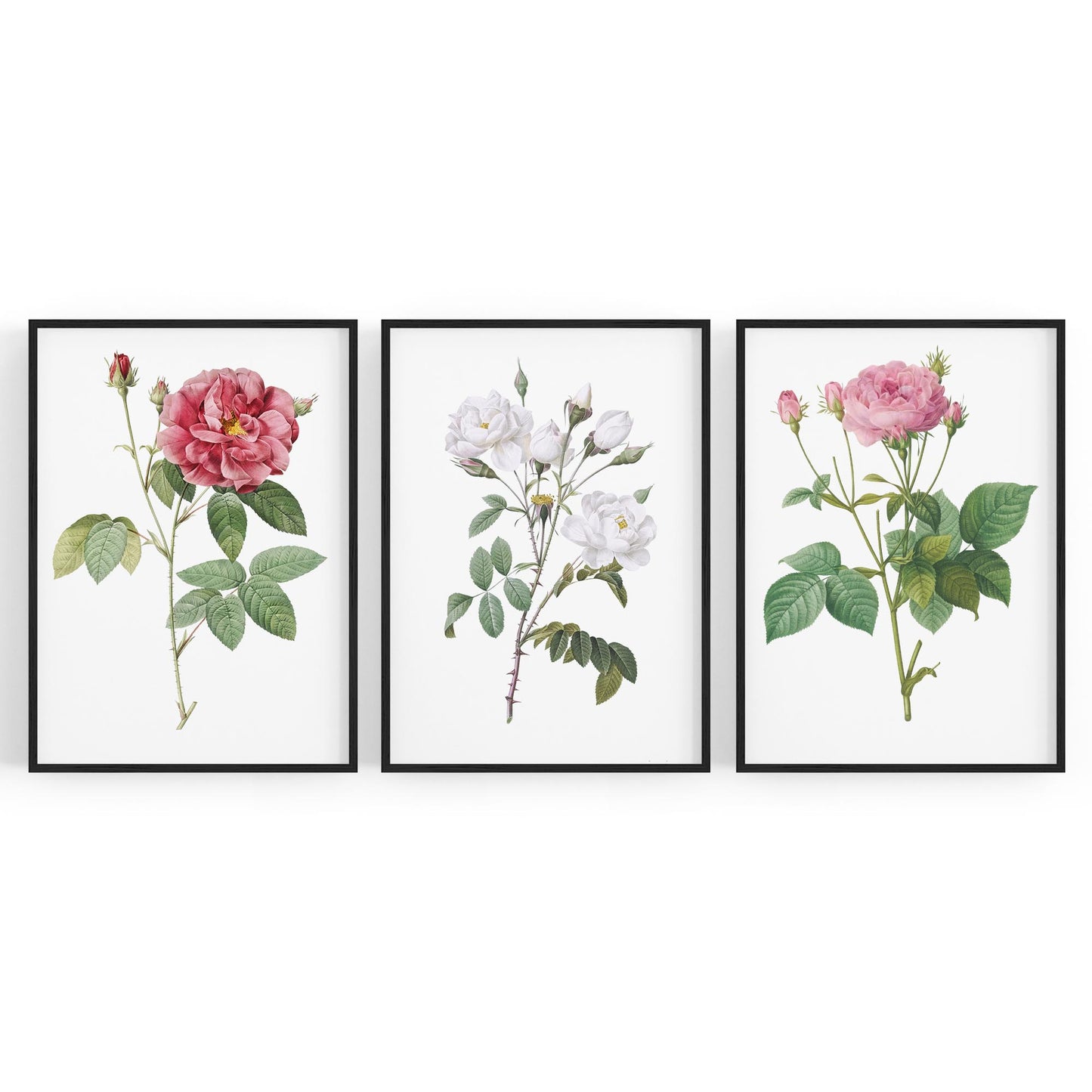 Set of Pink Floral Vintage Botanical Wall Art #4 - The Affordable Art Company