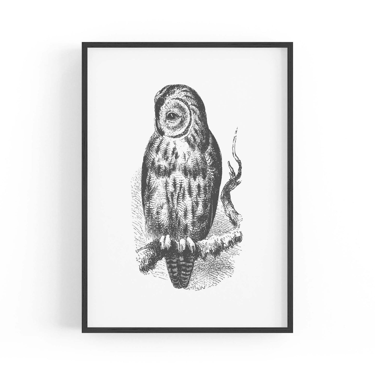 Owl Drawing Portrait Minimal Black Wall Art #3 - The Affordable Art Company