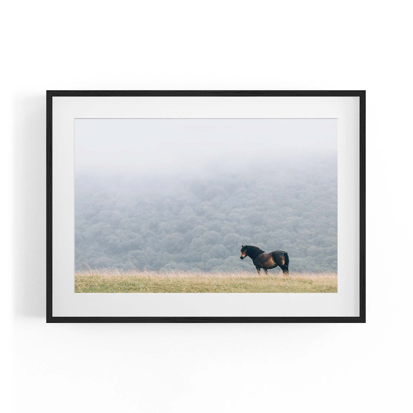 Lone Horse Landscape Photograph Nature Wall Art - The Affordable Art Company