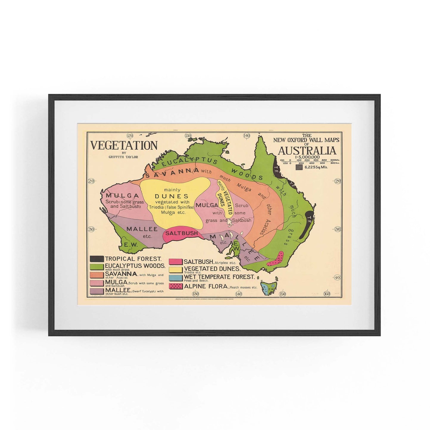 Australian Vegetation Vintage Map Wall Art - The Affordable Art Company