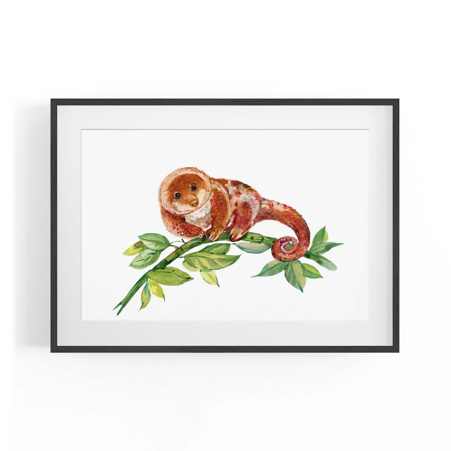 Australian Tree Kangaroo Painting Animal Wall Art - The Affordable Art Company